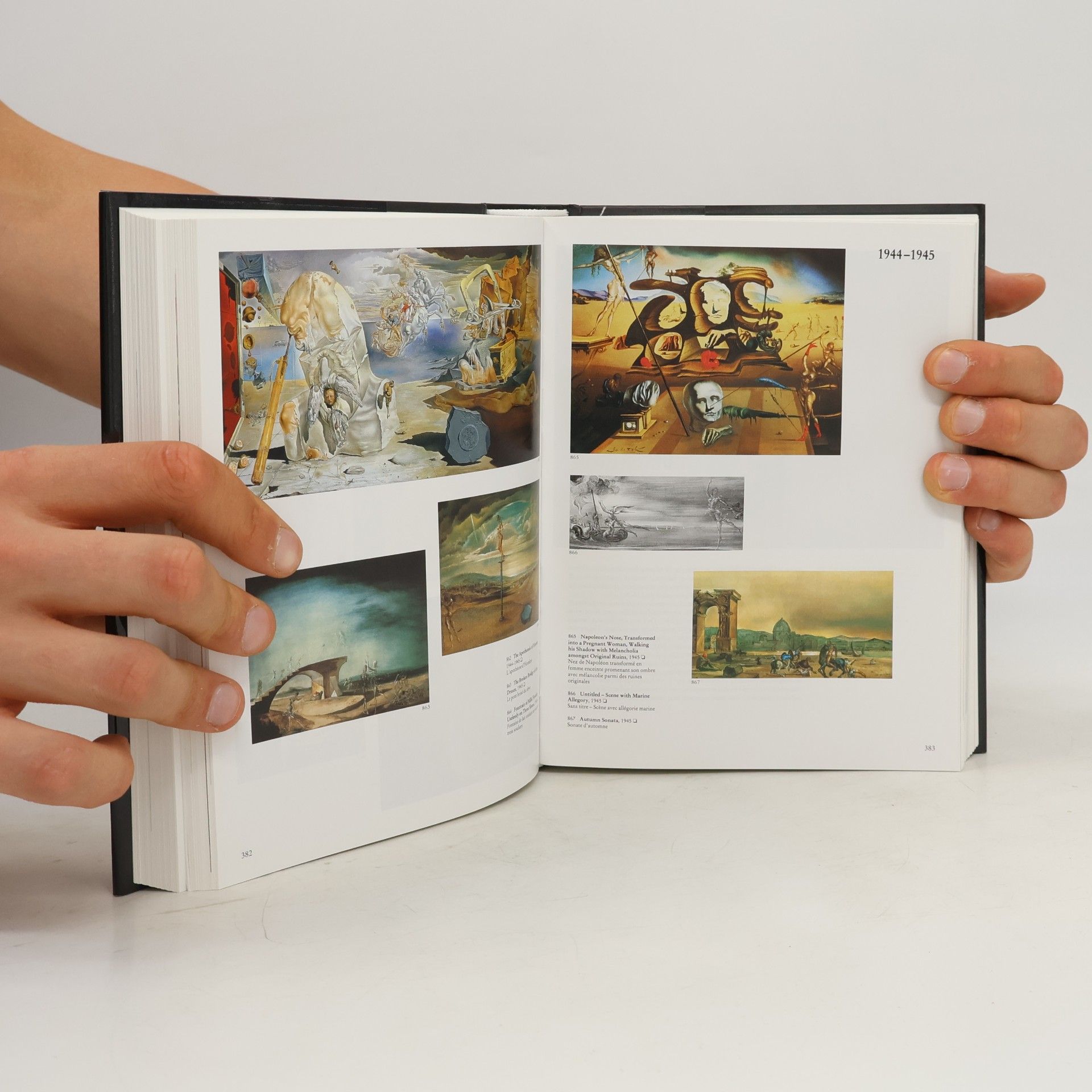 Robert Descharnes Dalí. The Paintings