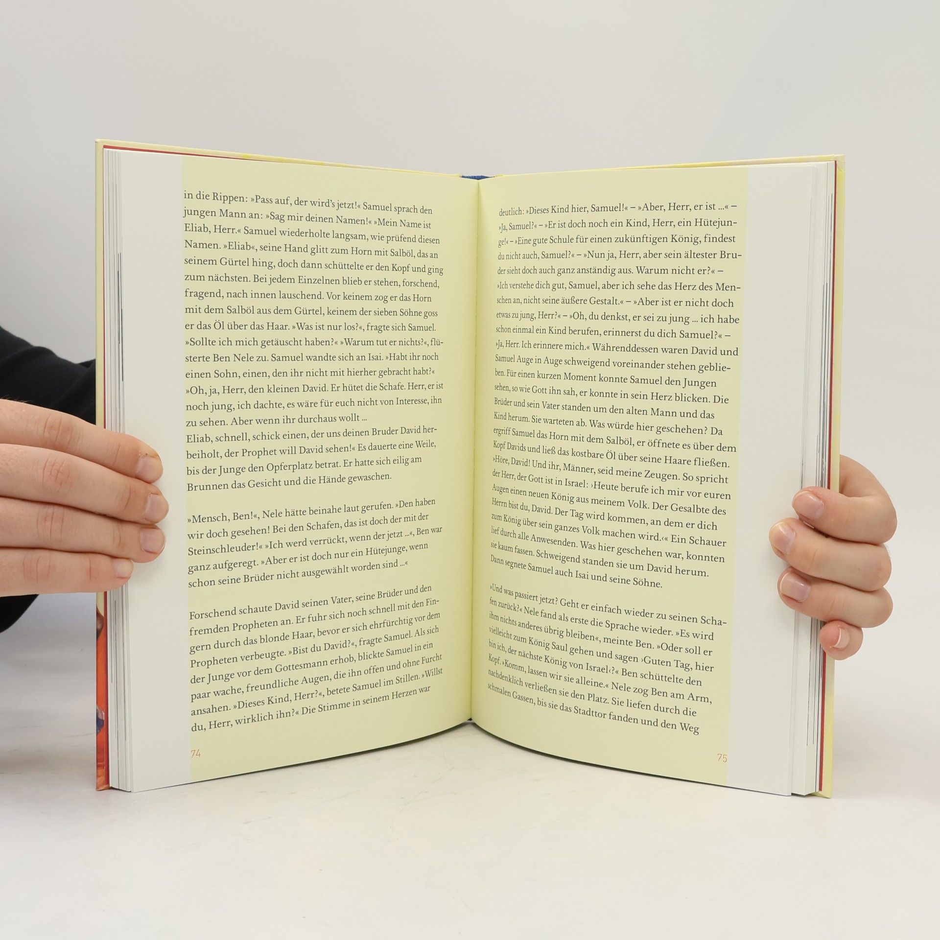 Kerstin Schmale Nele, Ben und das geheimnisvolle Buch
