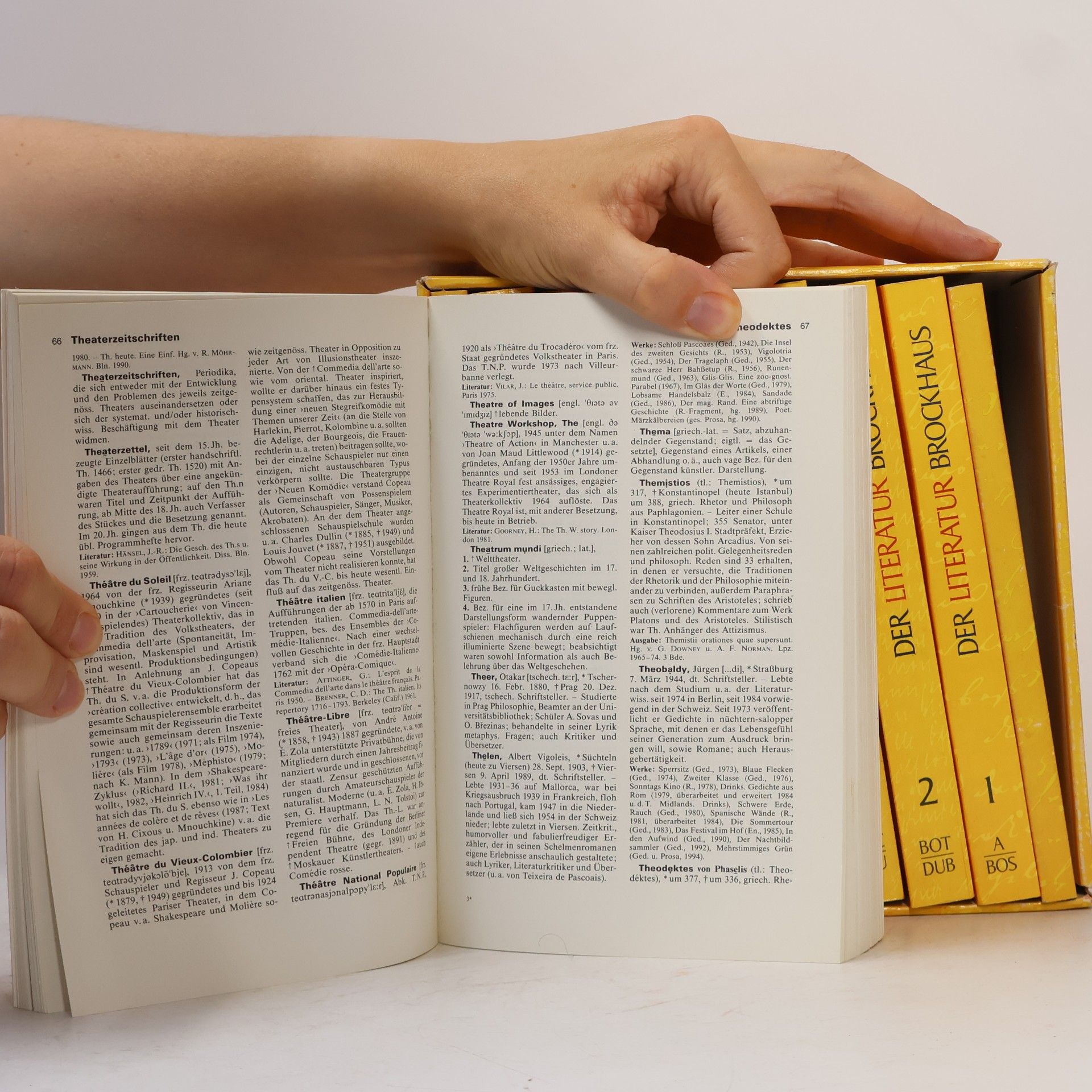 Autorenkollektiv Der Literatur-Brockhaus 1-8