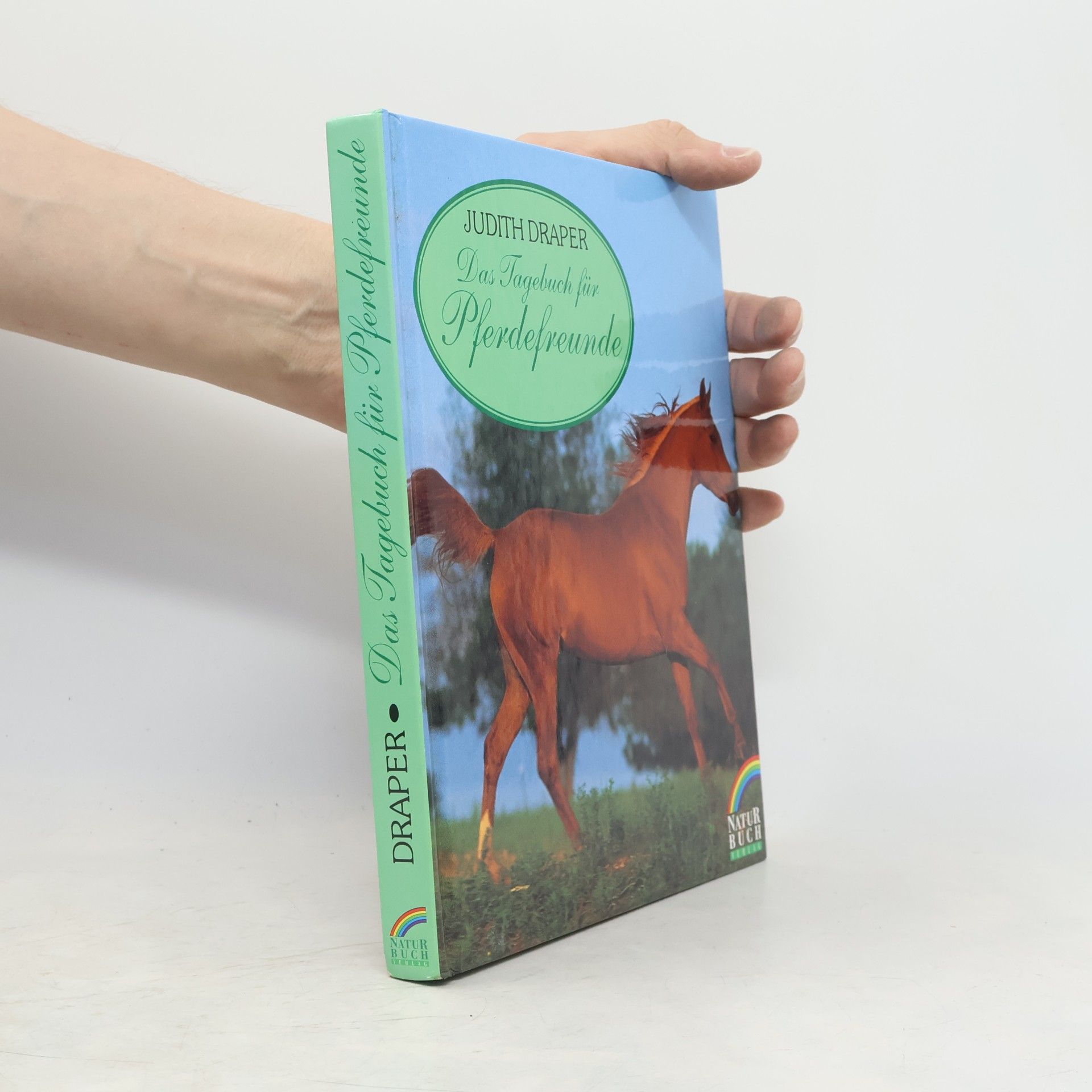 Judith Draper Mein Pferdetagebuch