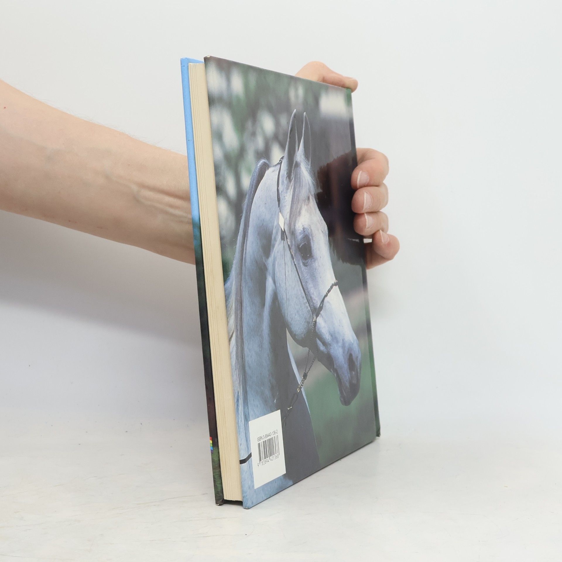 Judith Draper Mein Pferdetagebuch