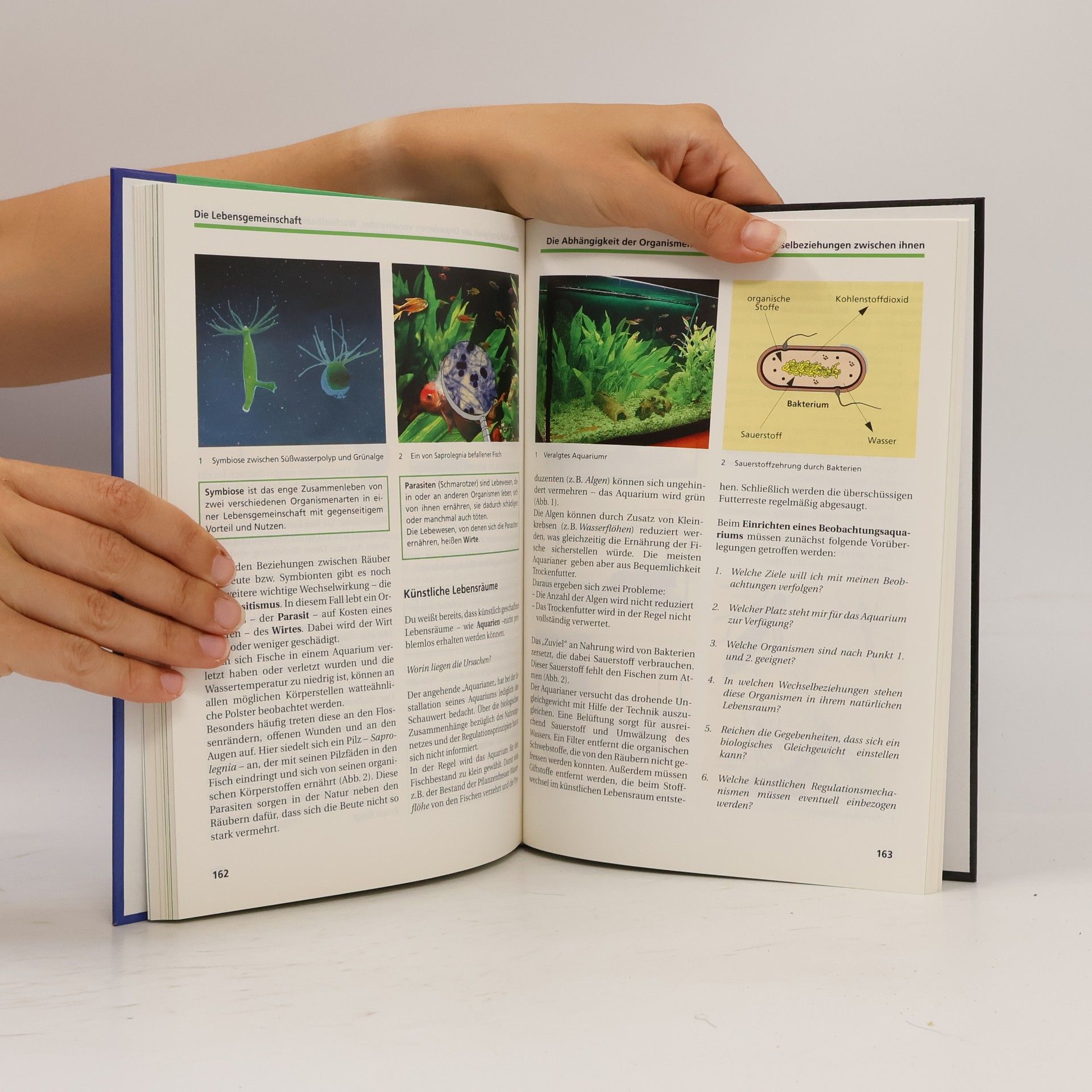 Christa Pews-Hocke Biologie