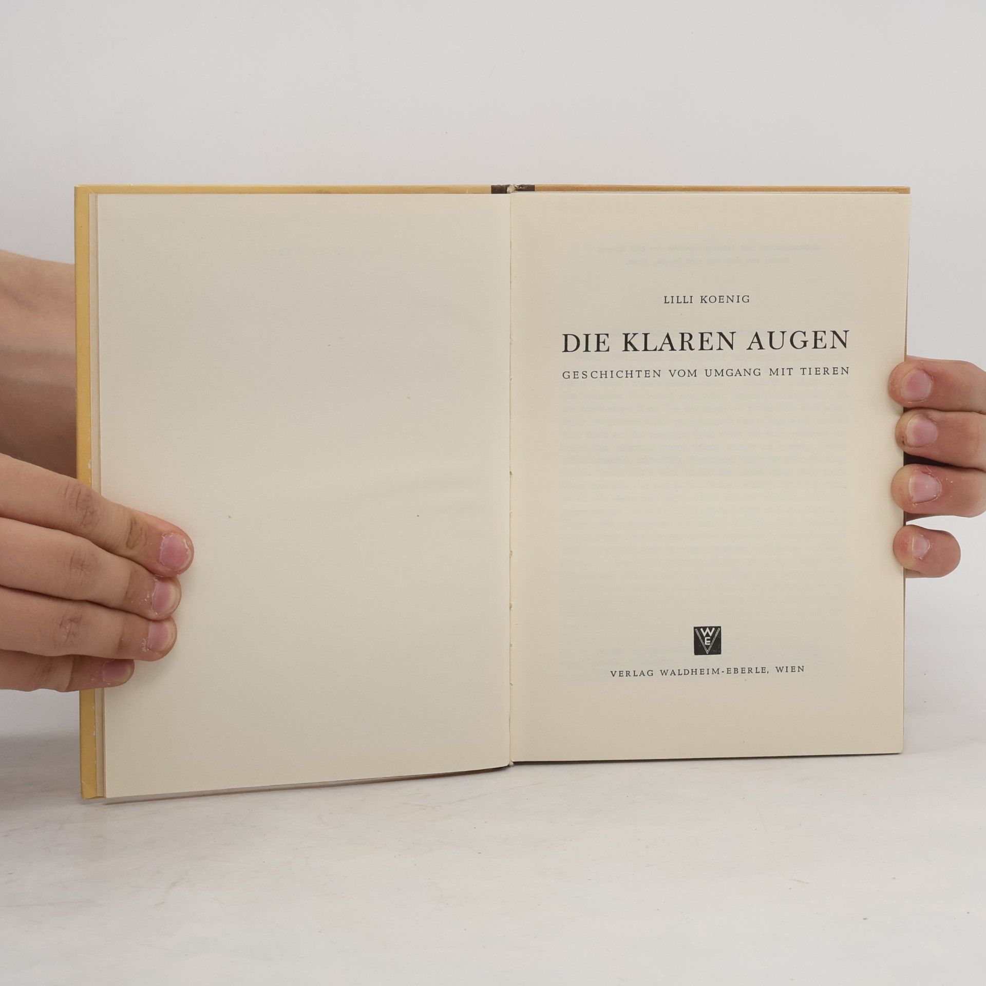 Lilli Koenig Die klaren Augen