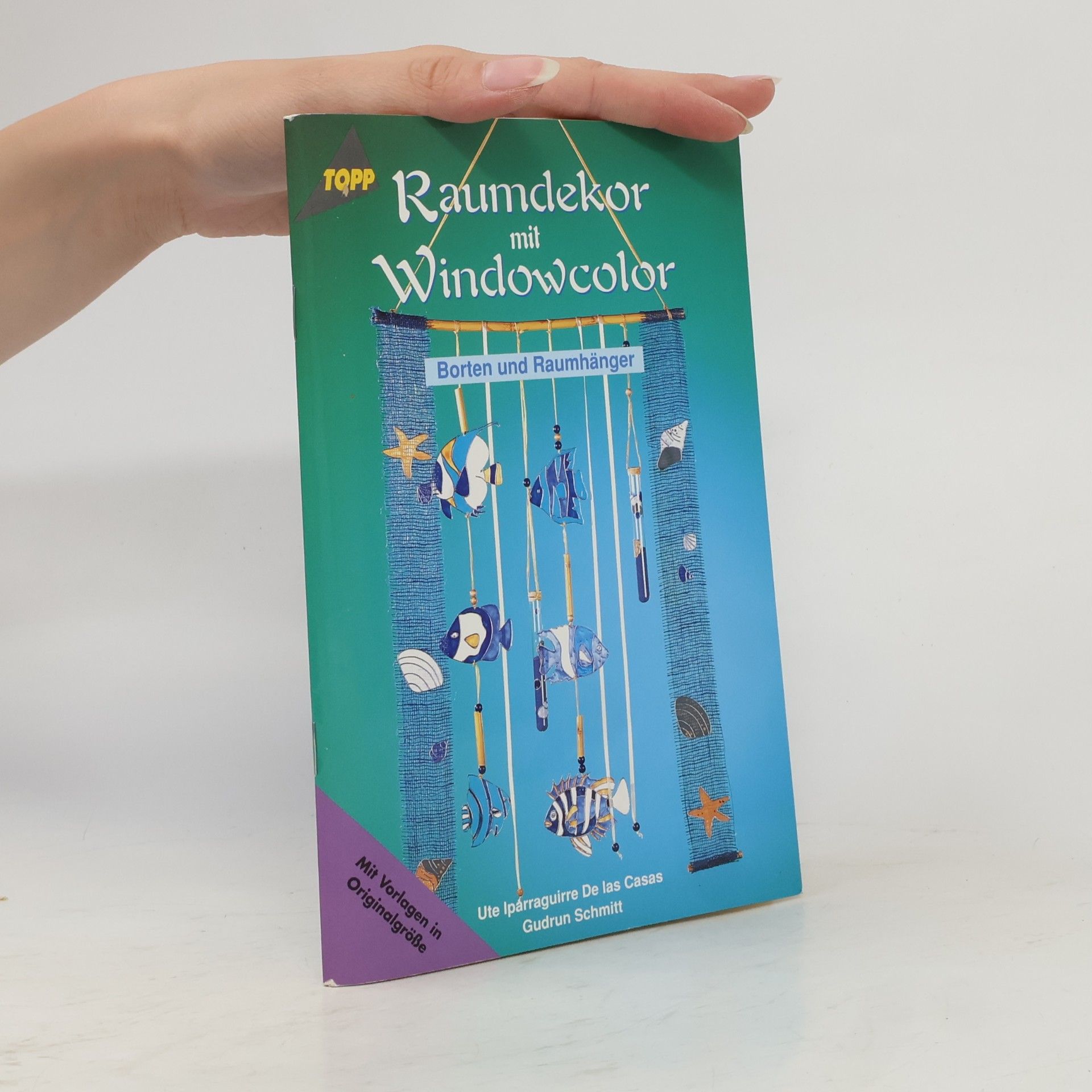 Kolektiv autorů Raumdekor mit Windowcolor