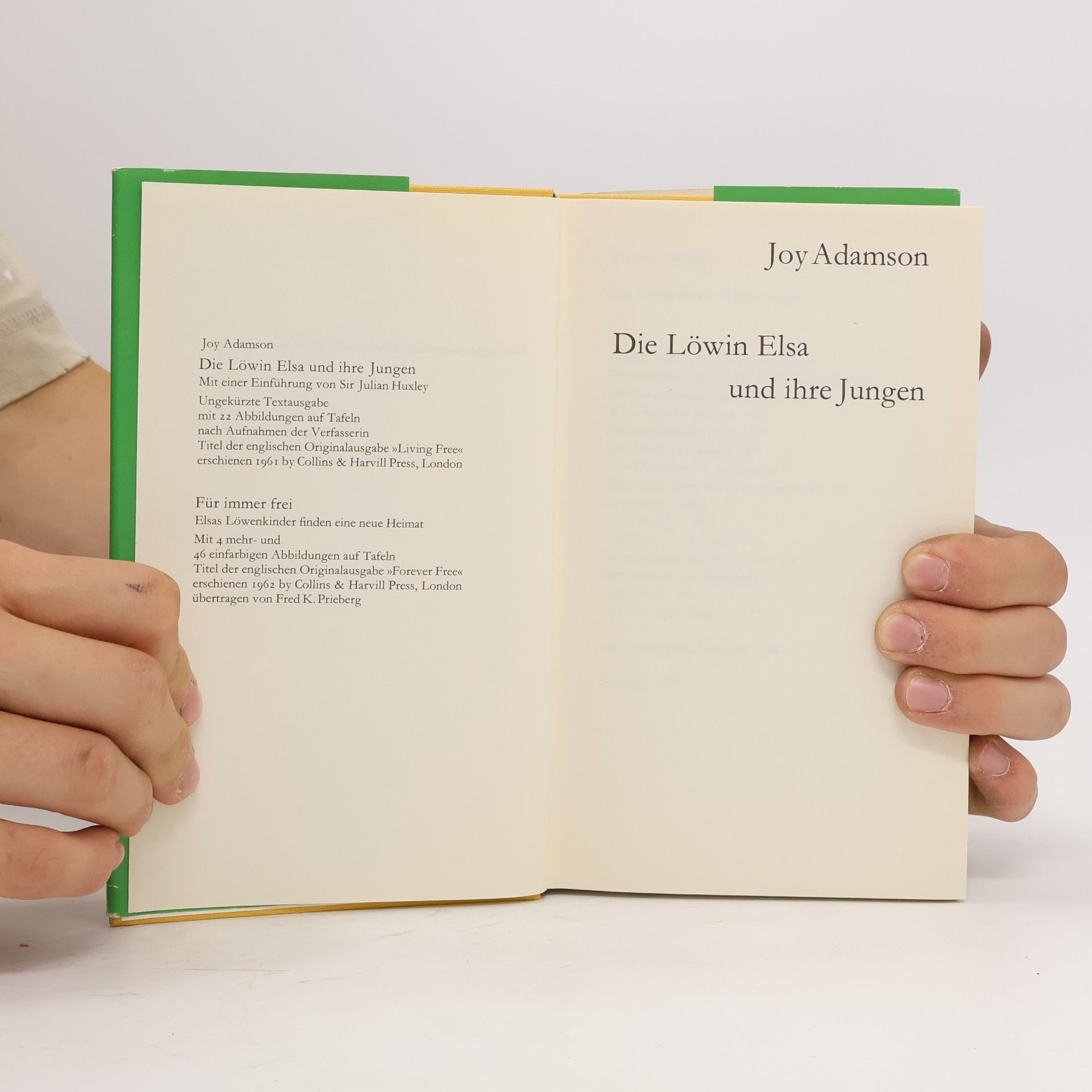 Joy Adamson Die Löwin Elsa und ihre Jungen