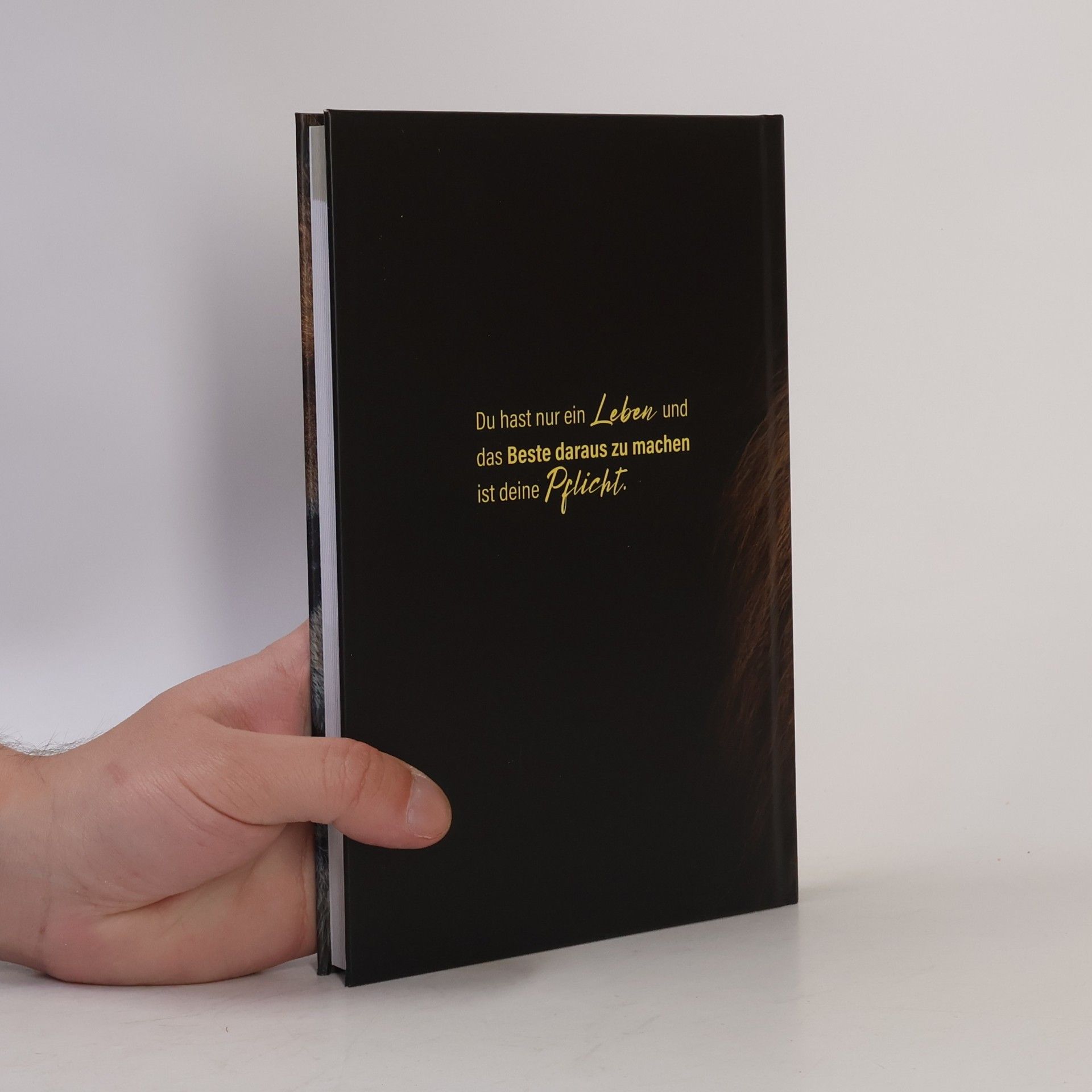 Zasi Fokoua Maskenfrei Journal