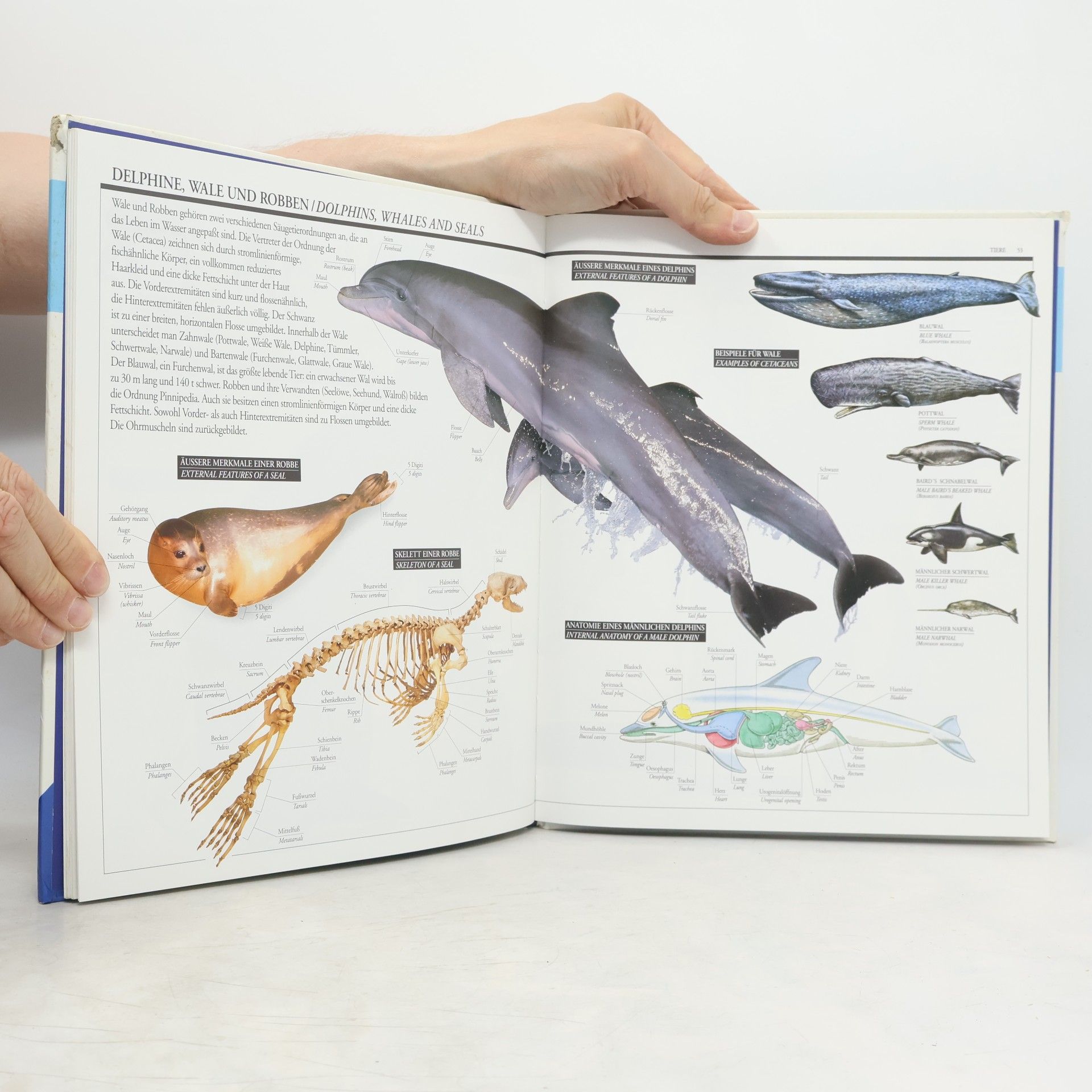 Christa Schmieder-Wenzel Tiere in Wort und Bild
