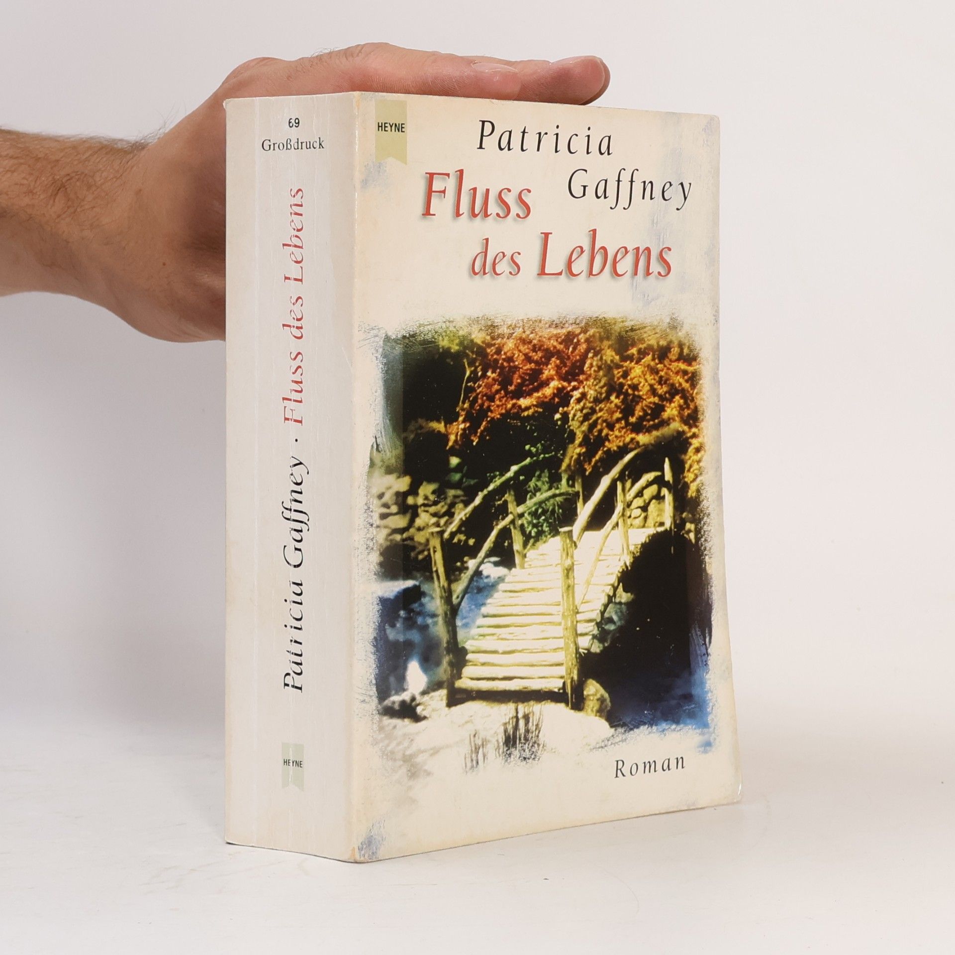 Patricia Gaffney Fluss des Lebens