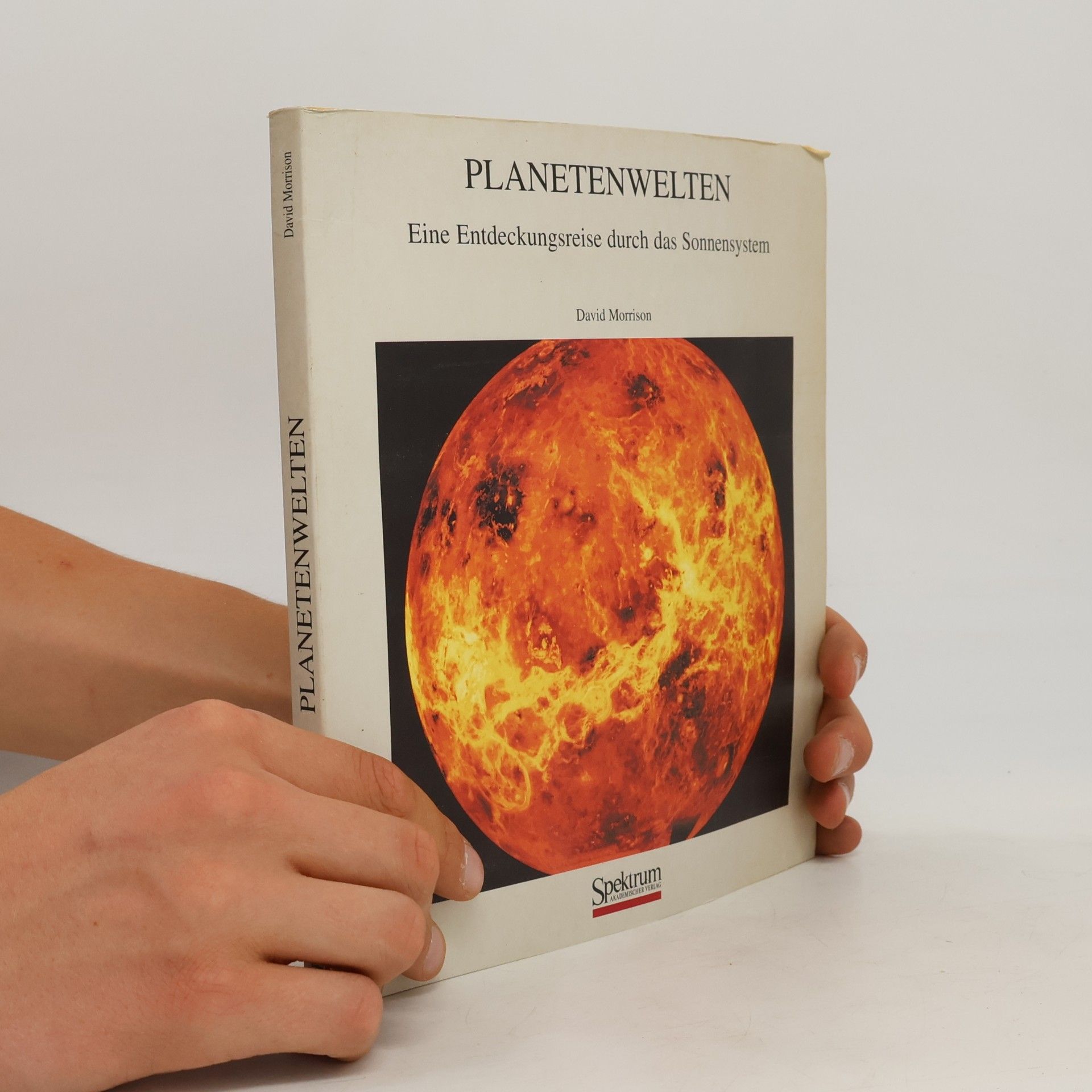 David Morrison Planetenwelten