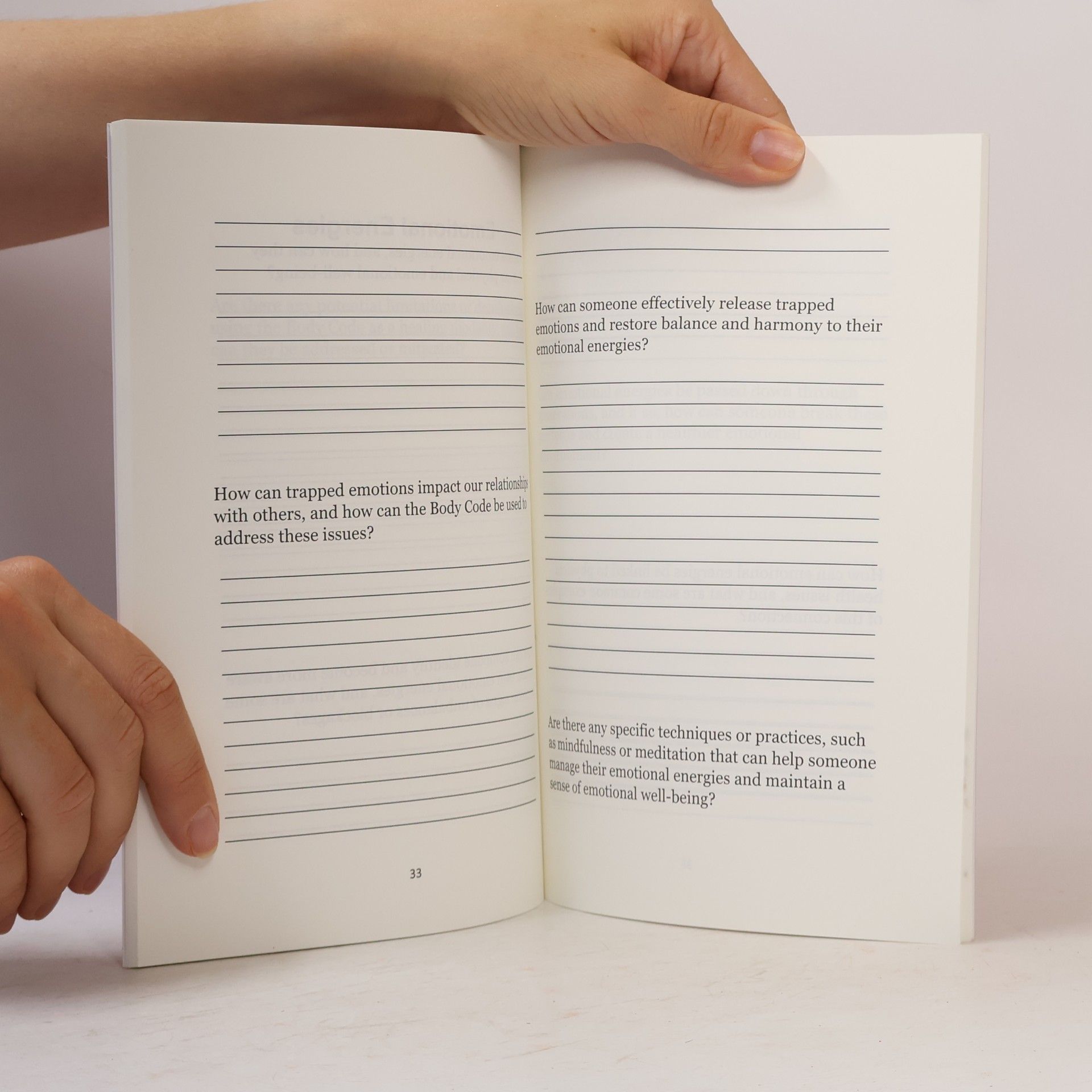 Kolektiv autorů Workbook for the Body Code