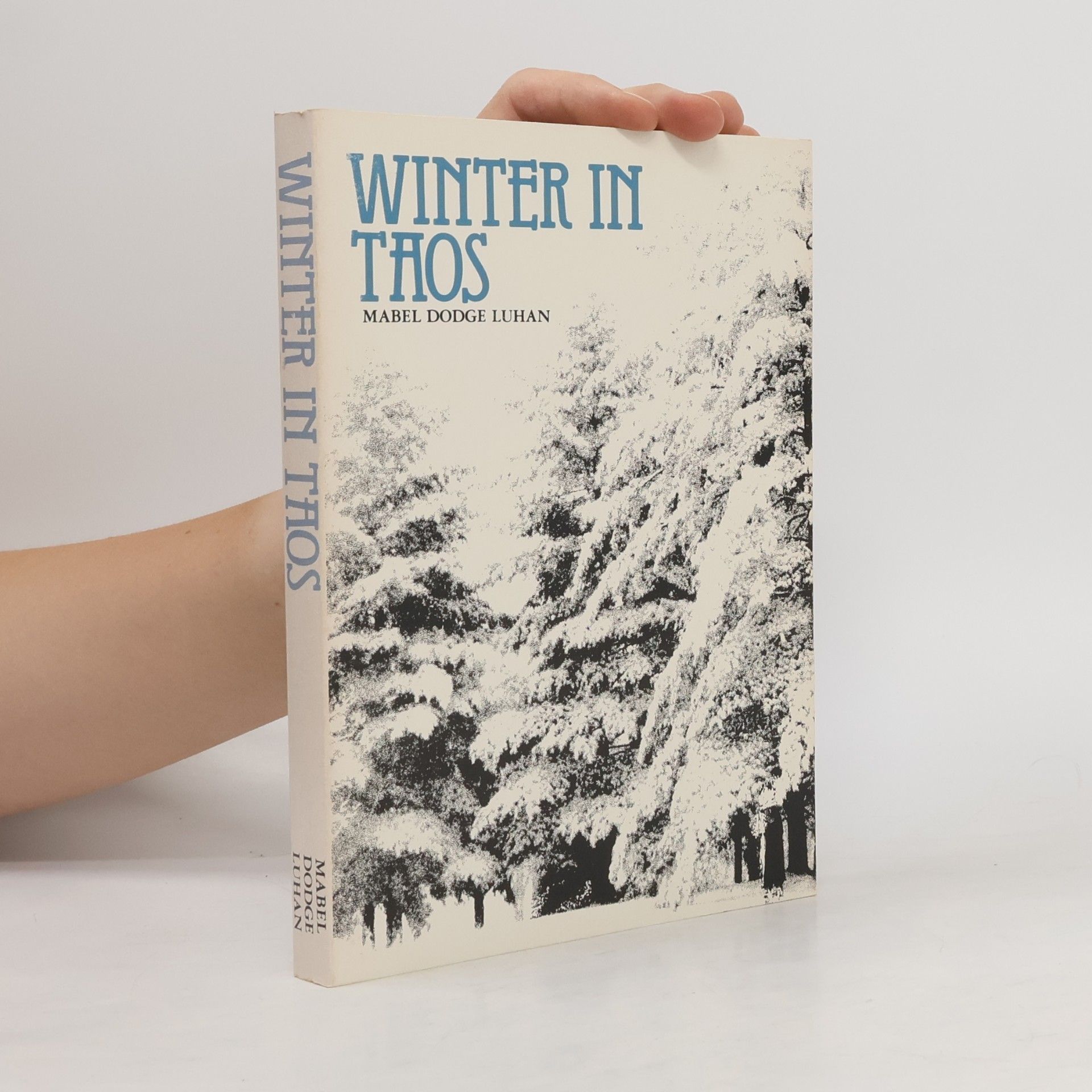 Mabel Dodge Luhan Winter In Taos