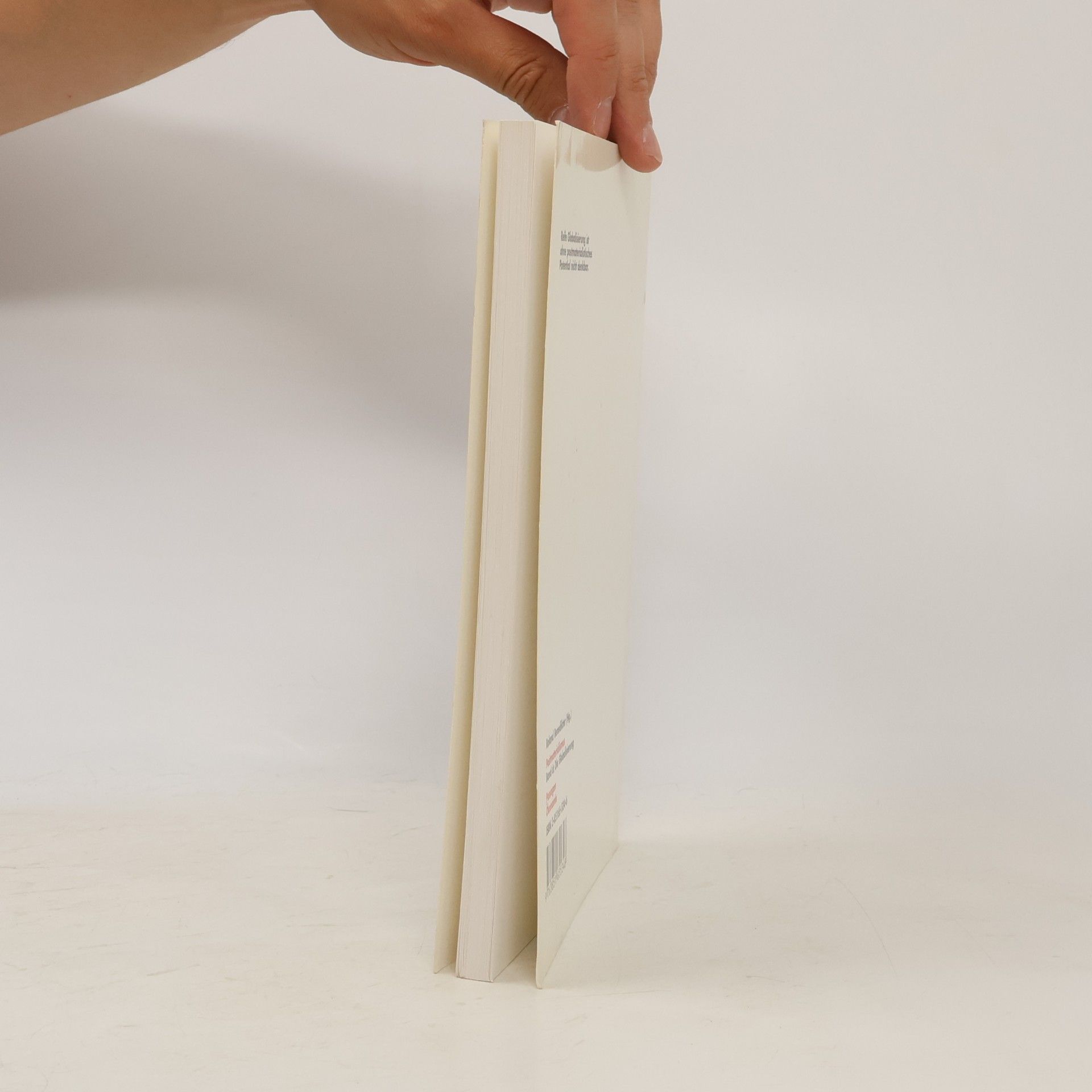 Roland Benedikter Postmaterialismus