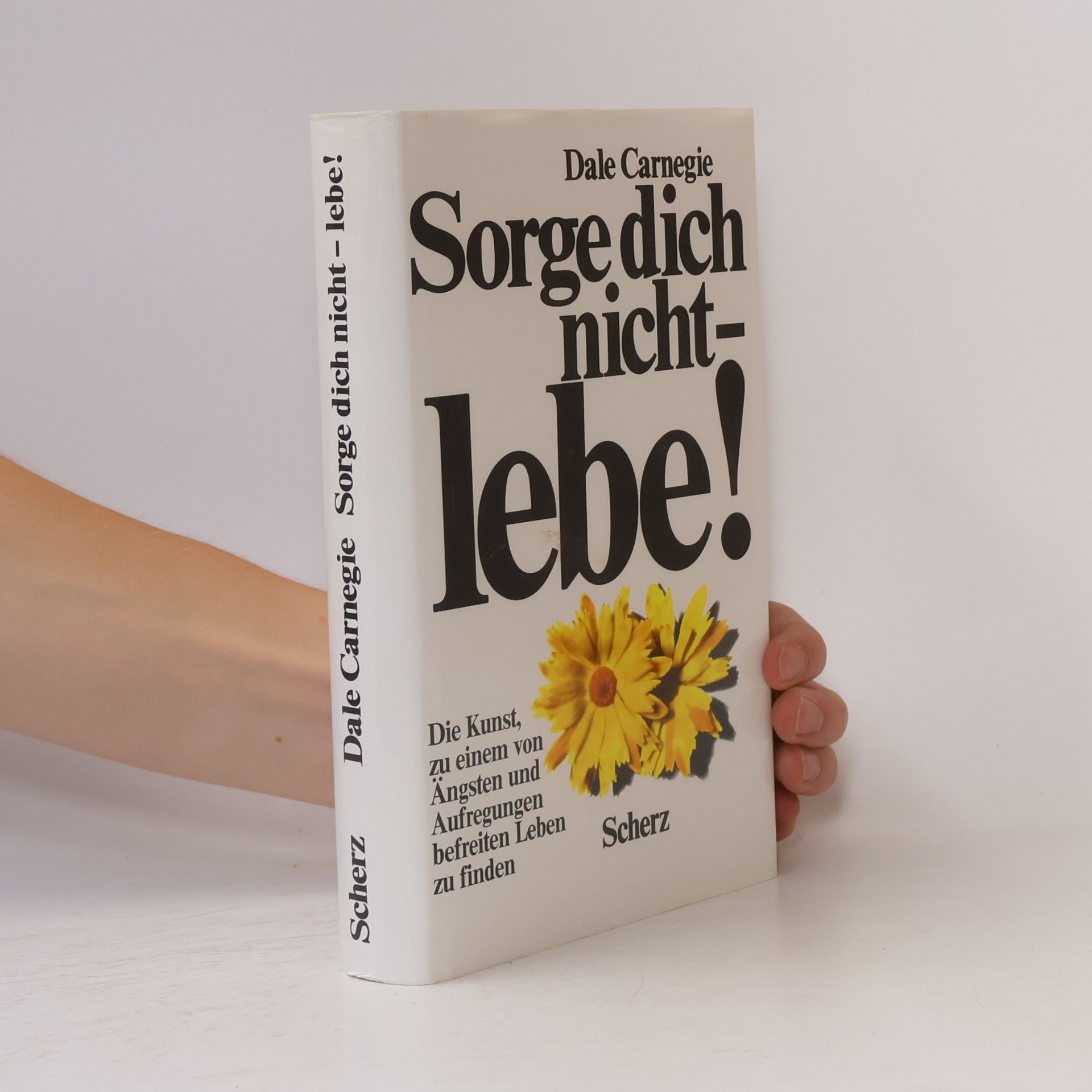 Dale Carnegie Sorge dich nicht - lebe!