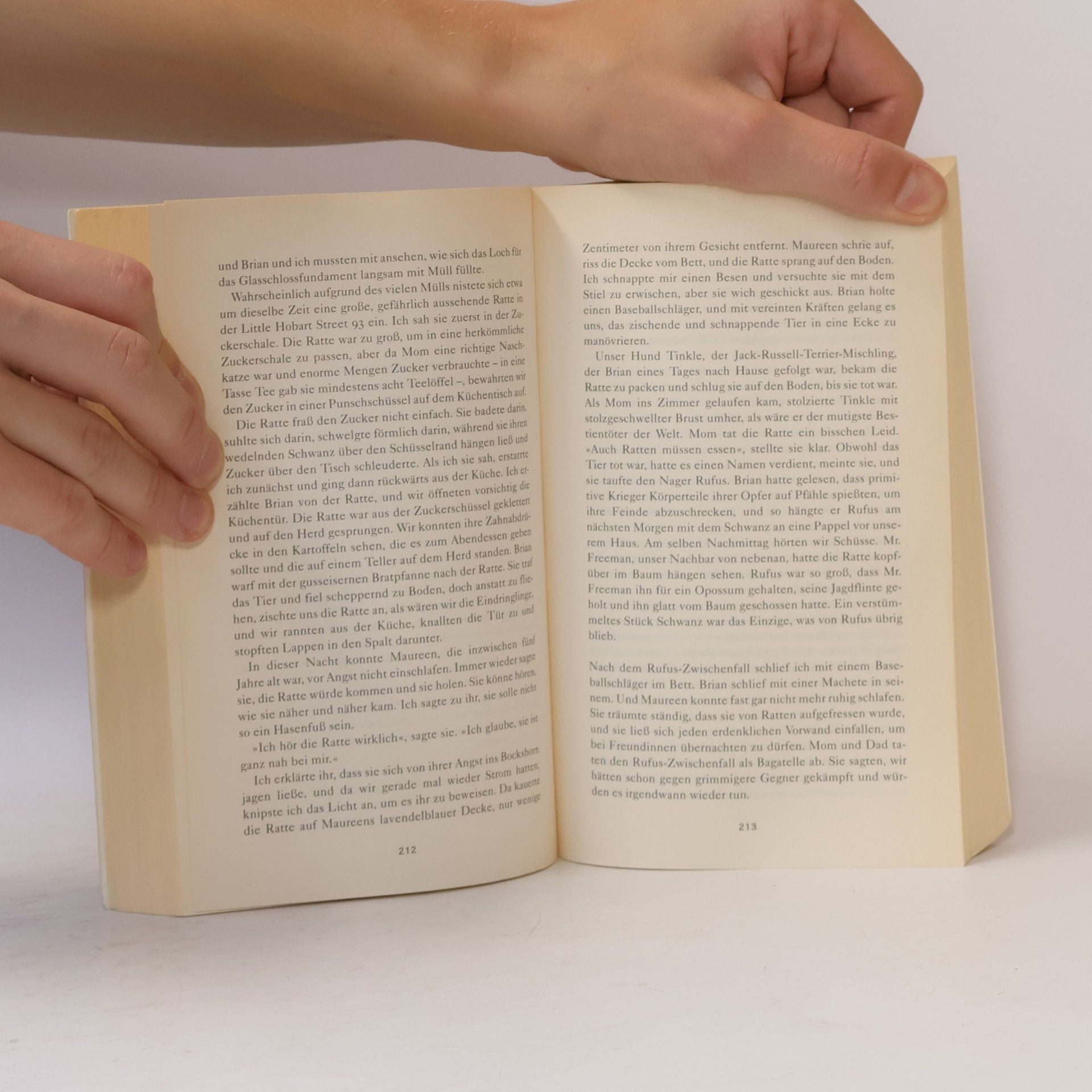 Jeannette Walls Schloss aus Glas