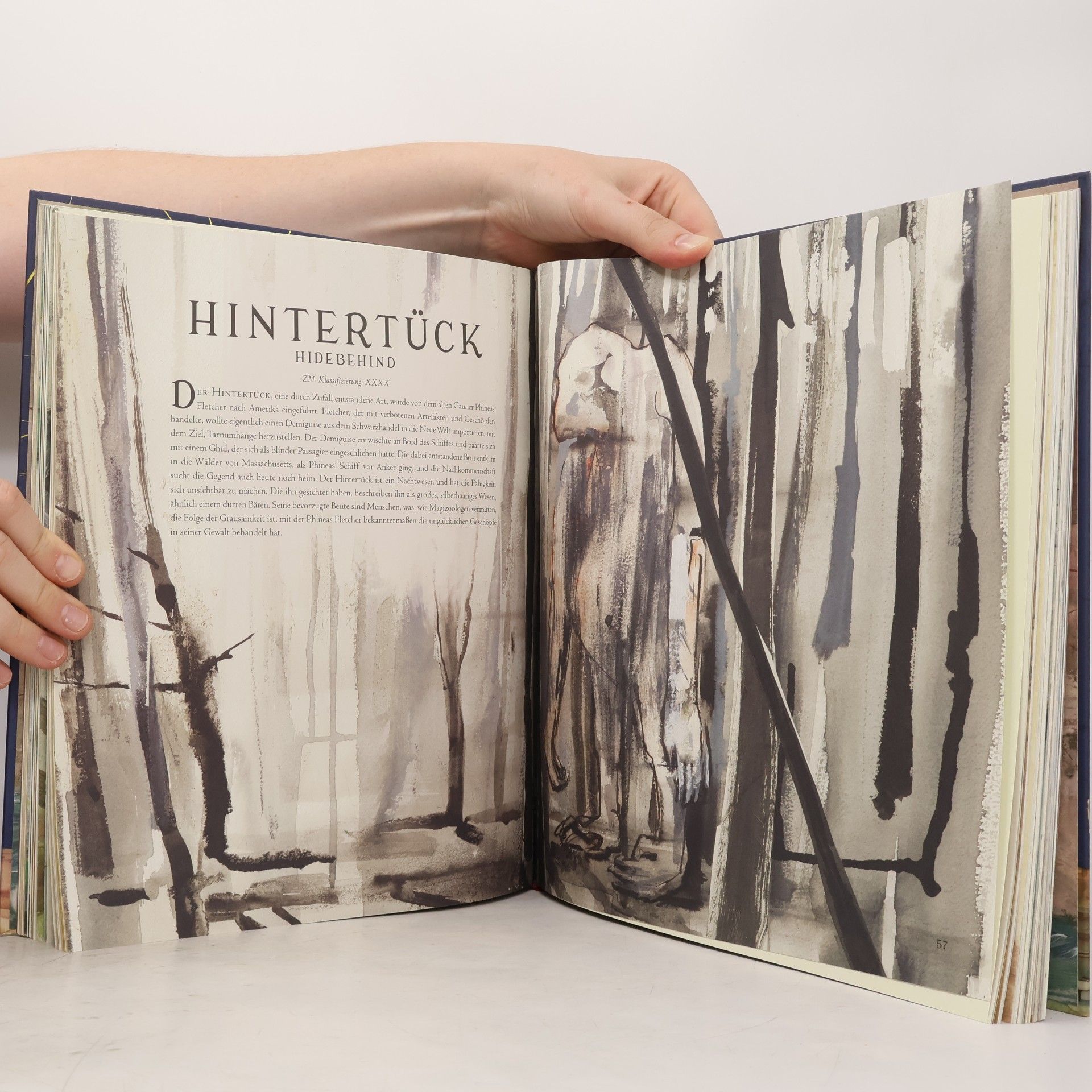 Newt Scamander Phantastische Tierwesen und wo sie zu finden sind