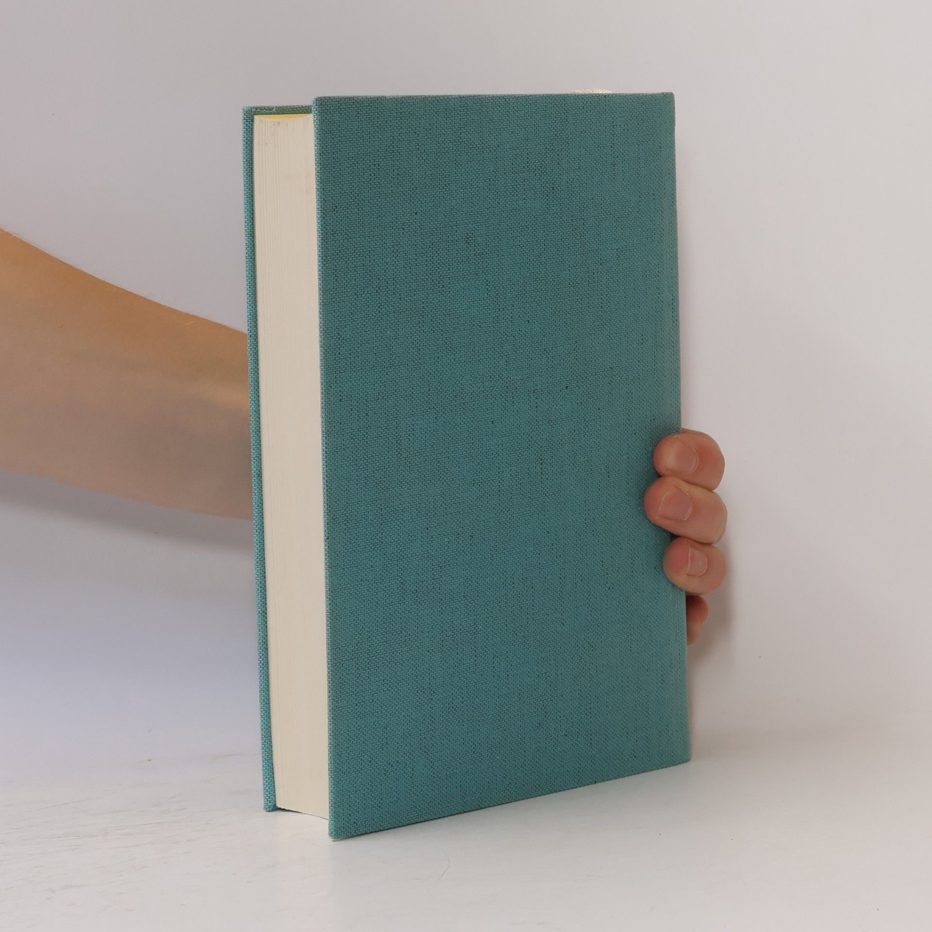 Autorenkollektiv Der Tod des großen Ochsen