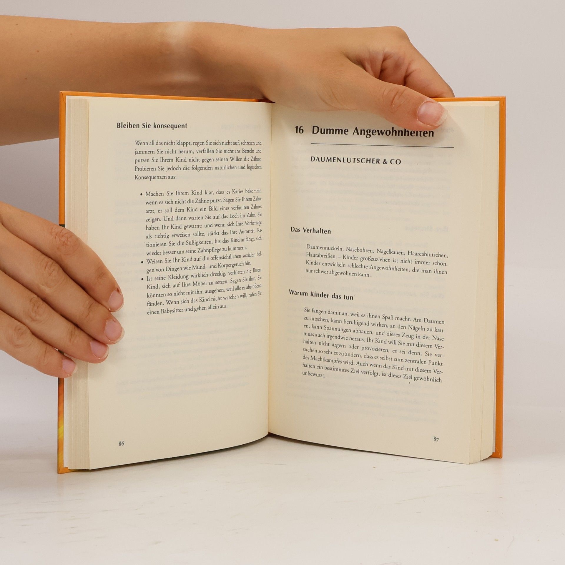 Stanley Shapiro Das SOS-Elternbuch