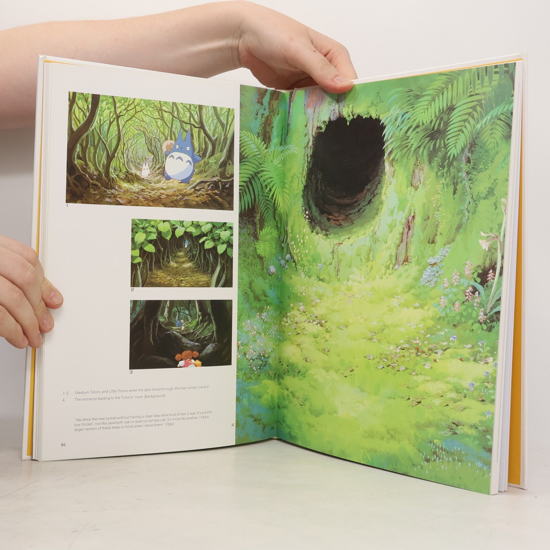 AA.VV. The Art of My Neighbor Totoro