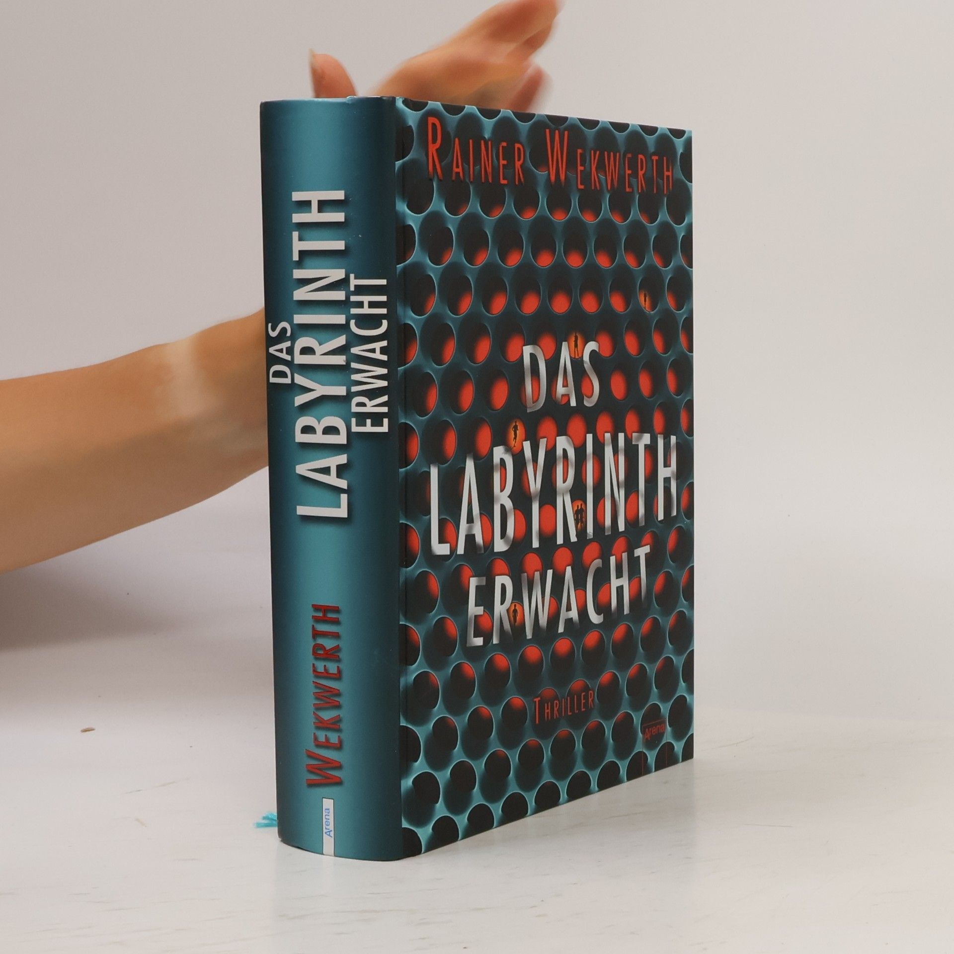 Rainer Wekwerth Das Labyrinth erwacht
