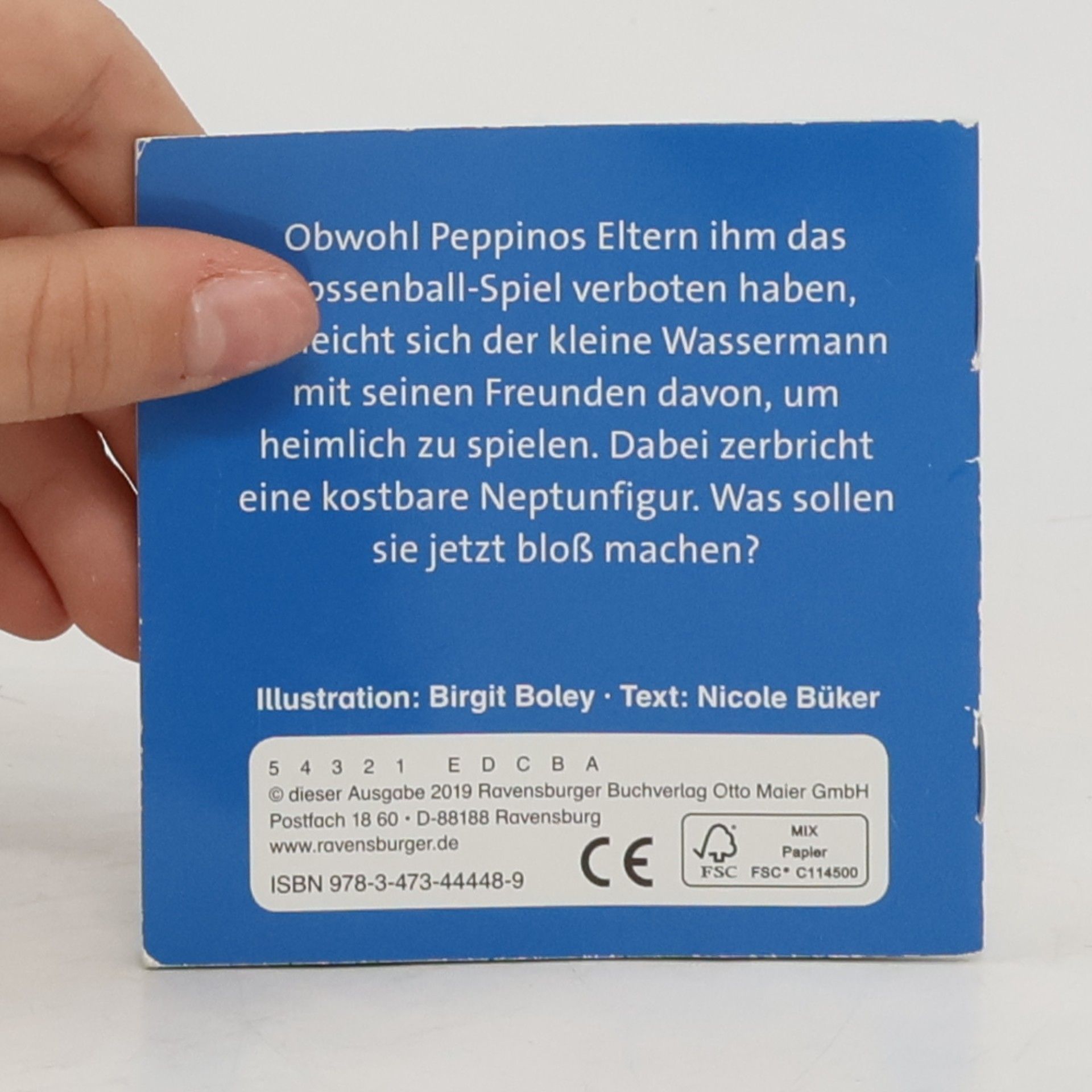 Birgit Boley-Prigge Peppinos großes Abenteuer 11