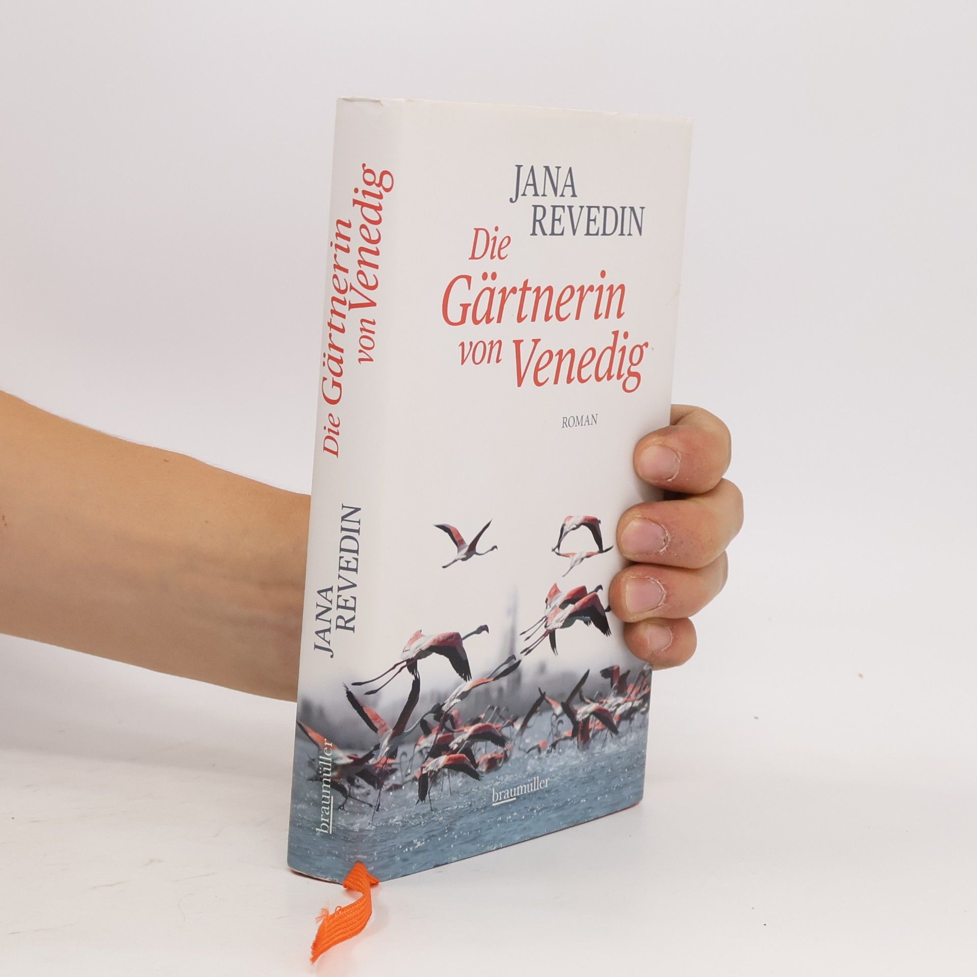 Jana Revedin Die Gärtnerin von Venedig