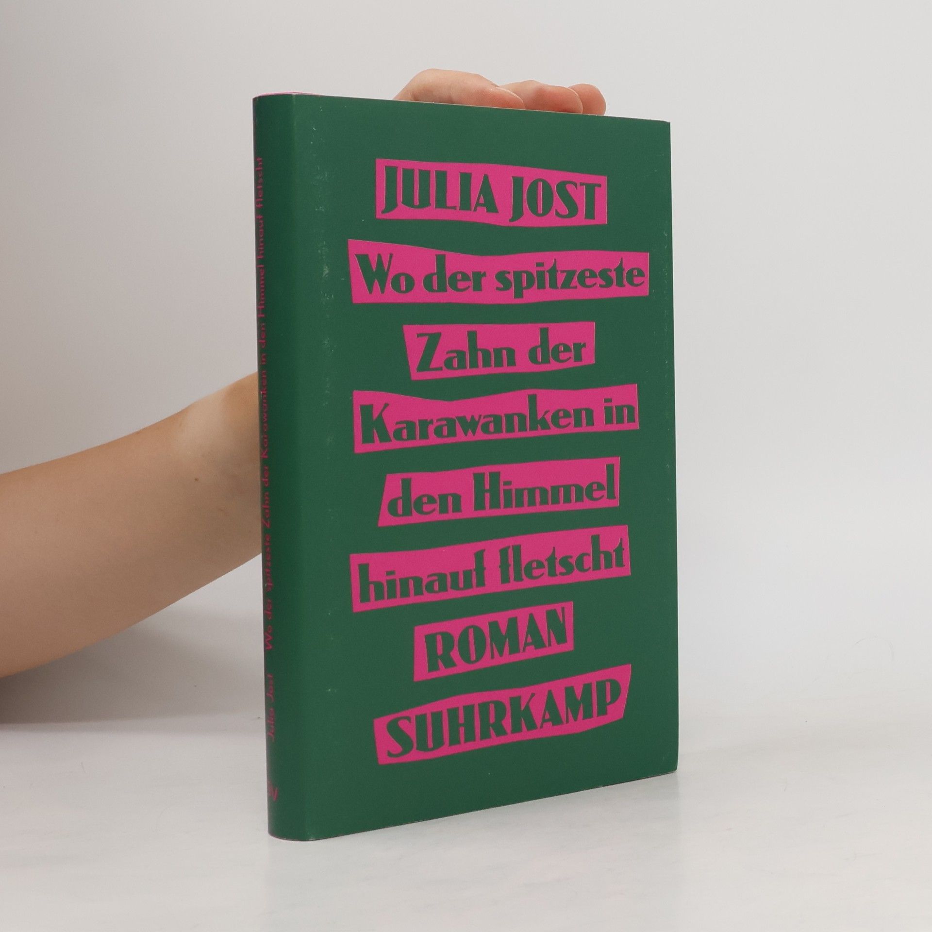 Julia Jost Wo der spitzeste Zahn der Karawanken in den Himmel hinauf fletscht