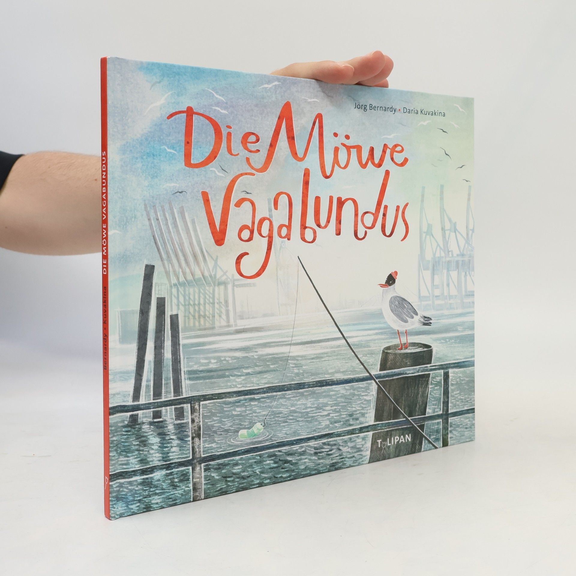 Jörg Bernardy Die Möwe Vagabundus