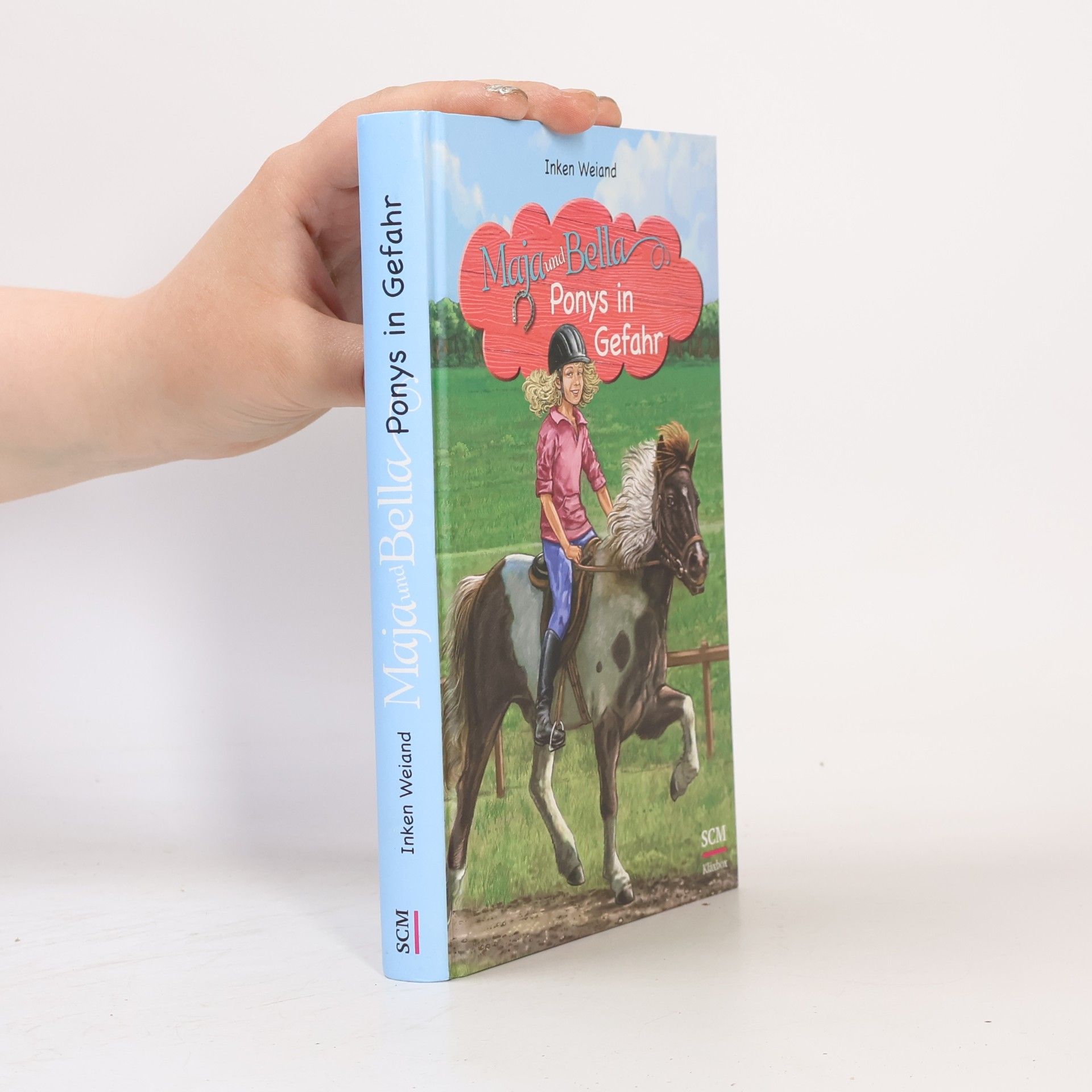 Inken Weiland Maja und Bella - Ponys in Gefahr