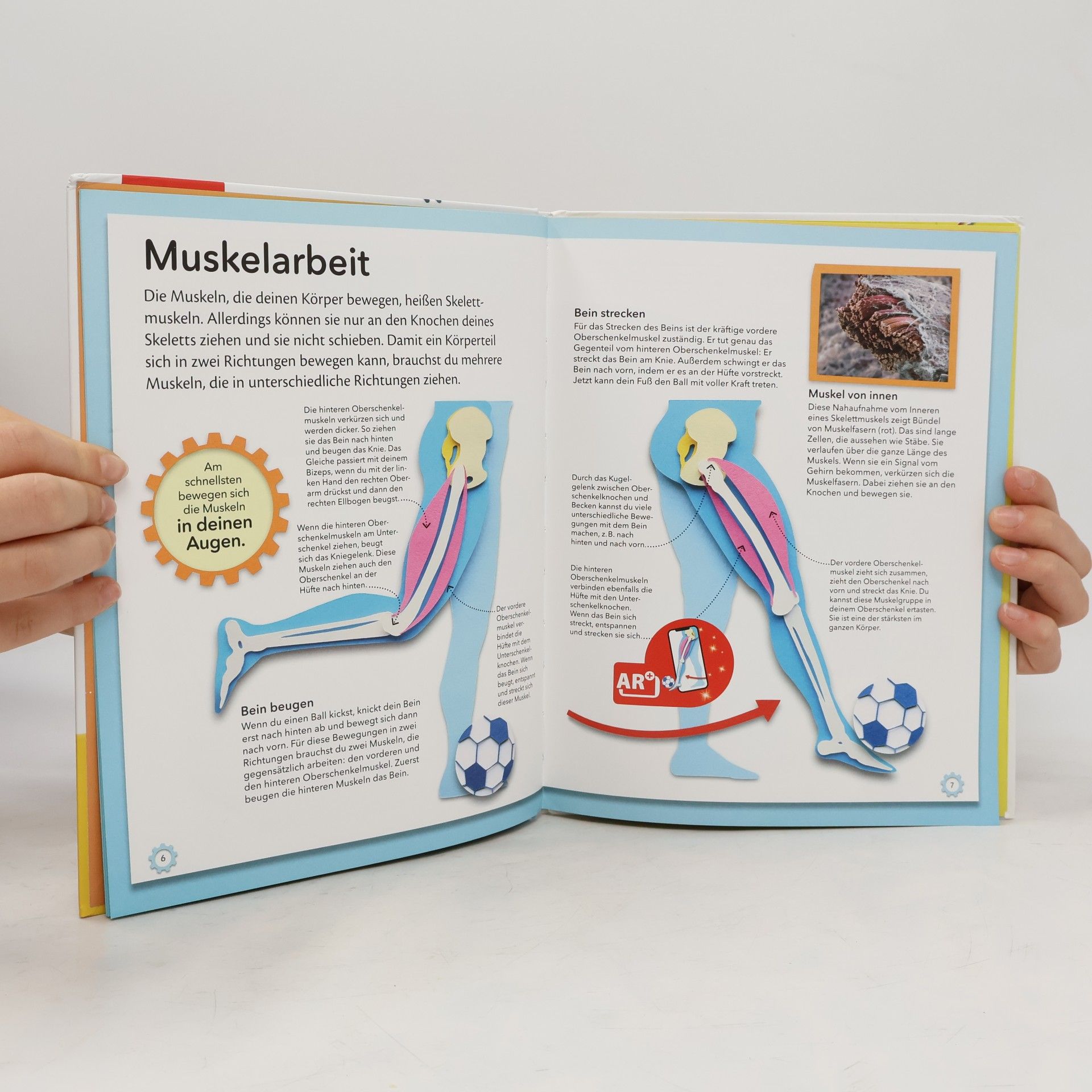 Autorenkollektiv Mein genialer Körper