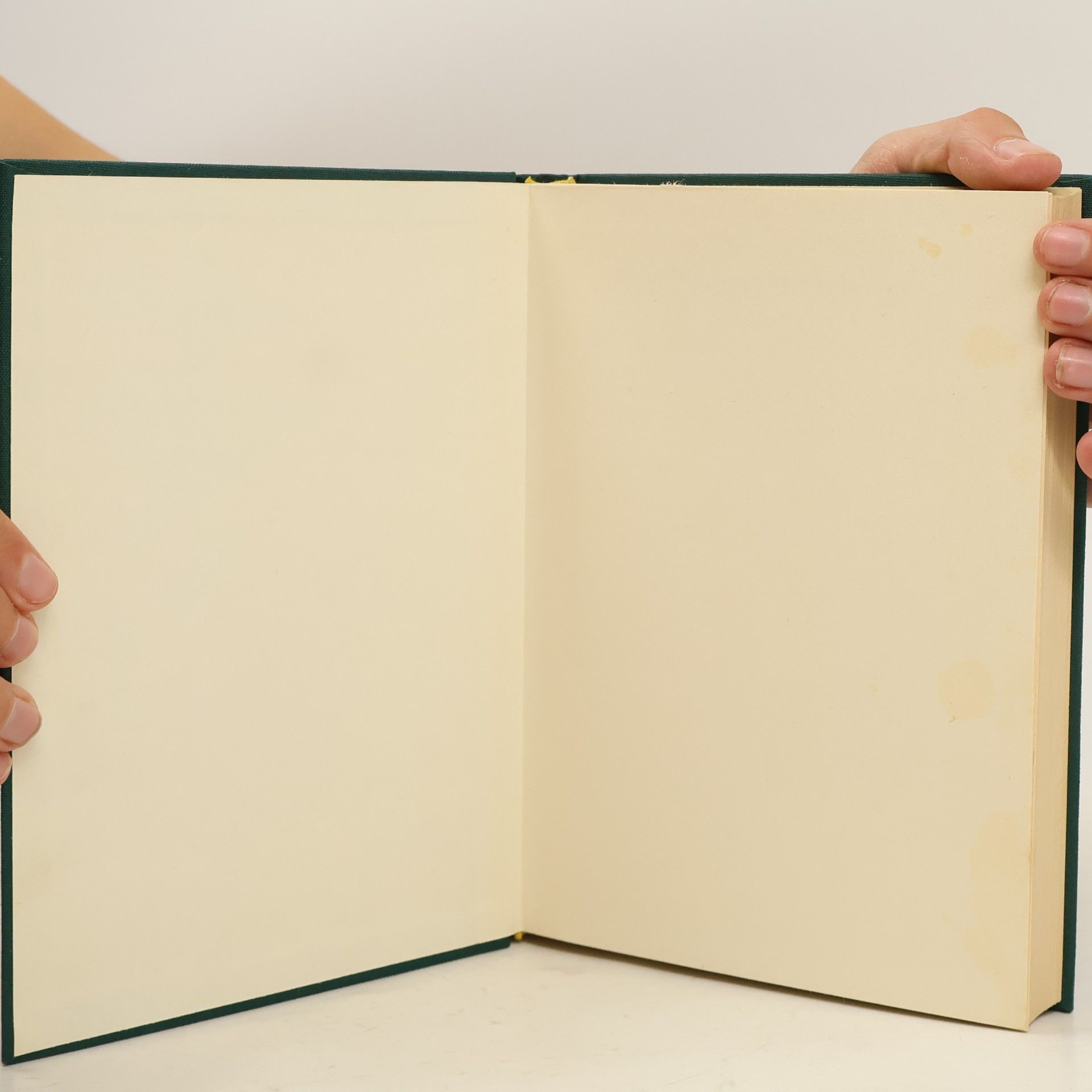 Werner de Boor Der Brief des Paulus an die Römer