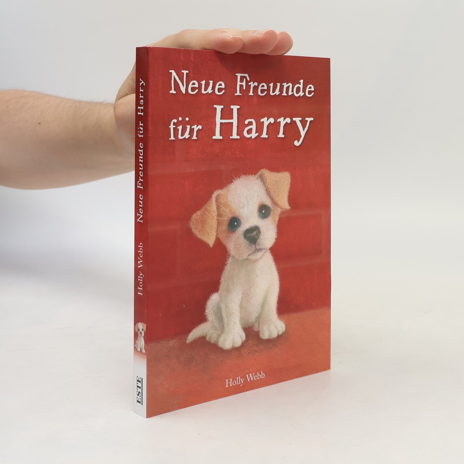 Holly Webb Neue Freunde für Harry