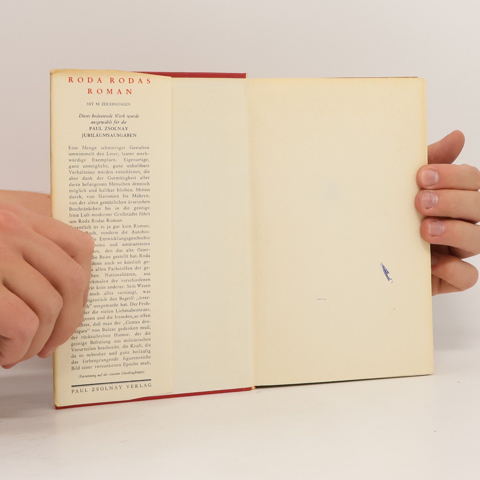 Autorenkollektiv Roda Rodas Roman