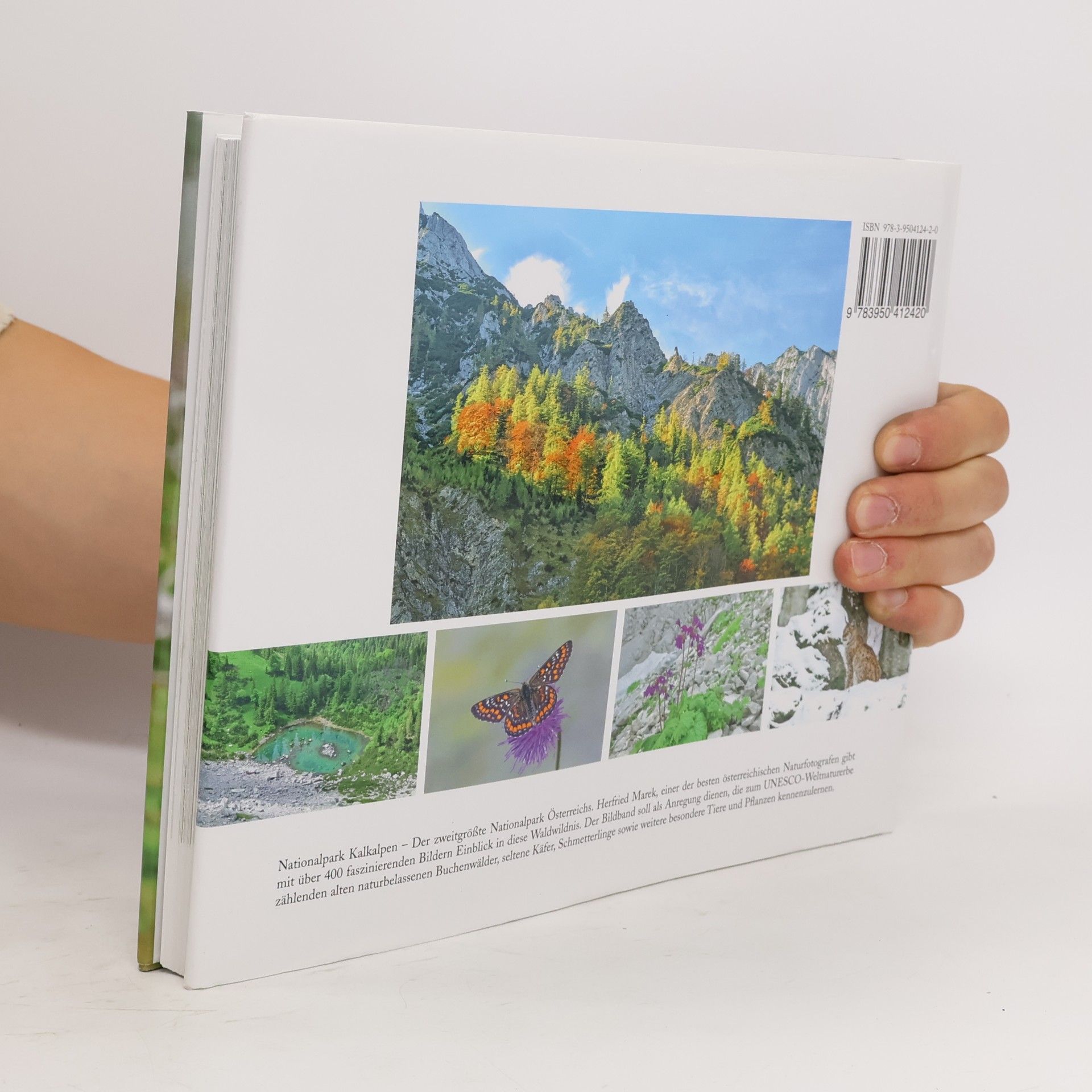Herfried Marek Die letzte große Waldwildnis Österreichs Nationalpark Kalkalpen