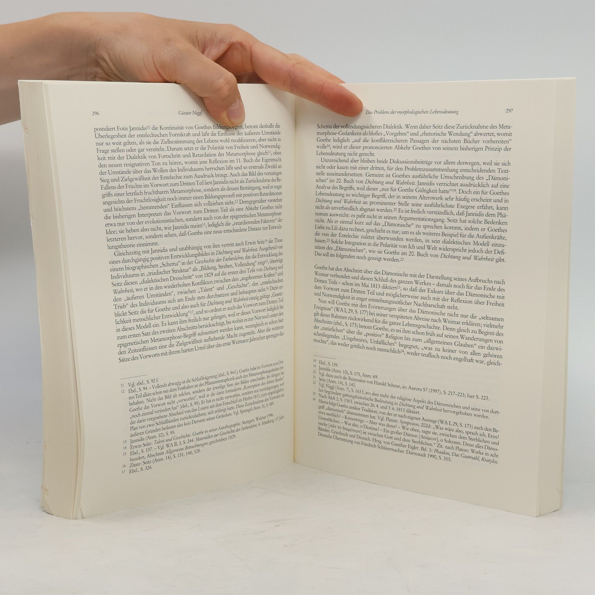 Goethe Goethe Jahrbuch