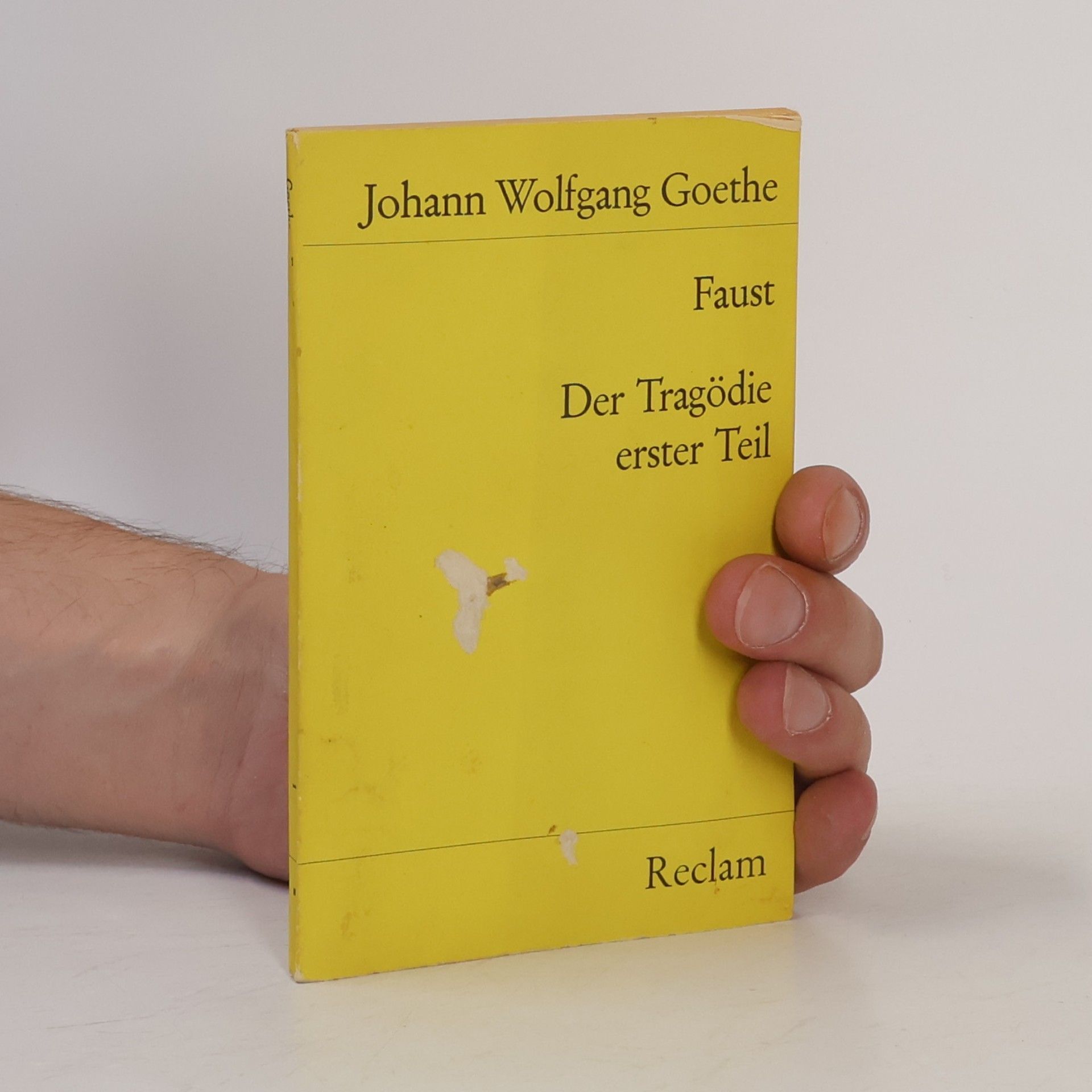 Johann Wolfgang von Goethe Faust : der Tragödie Erster teil
