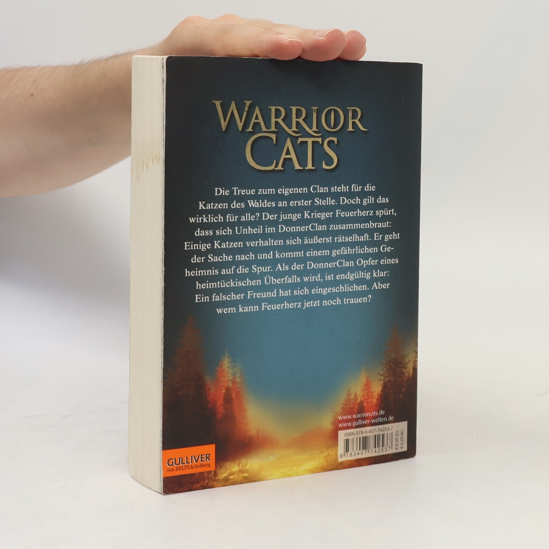 Erin Hunter Warrior Cats. Geheimnis des Waldes