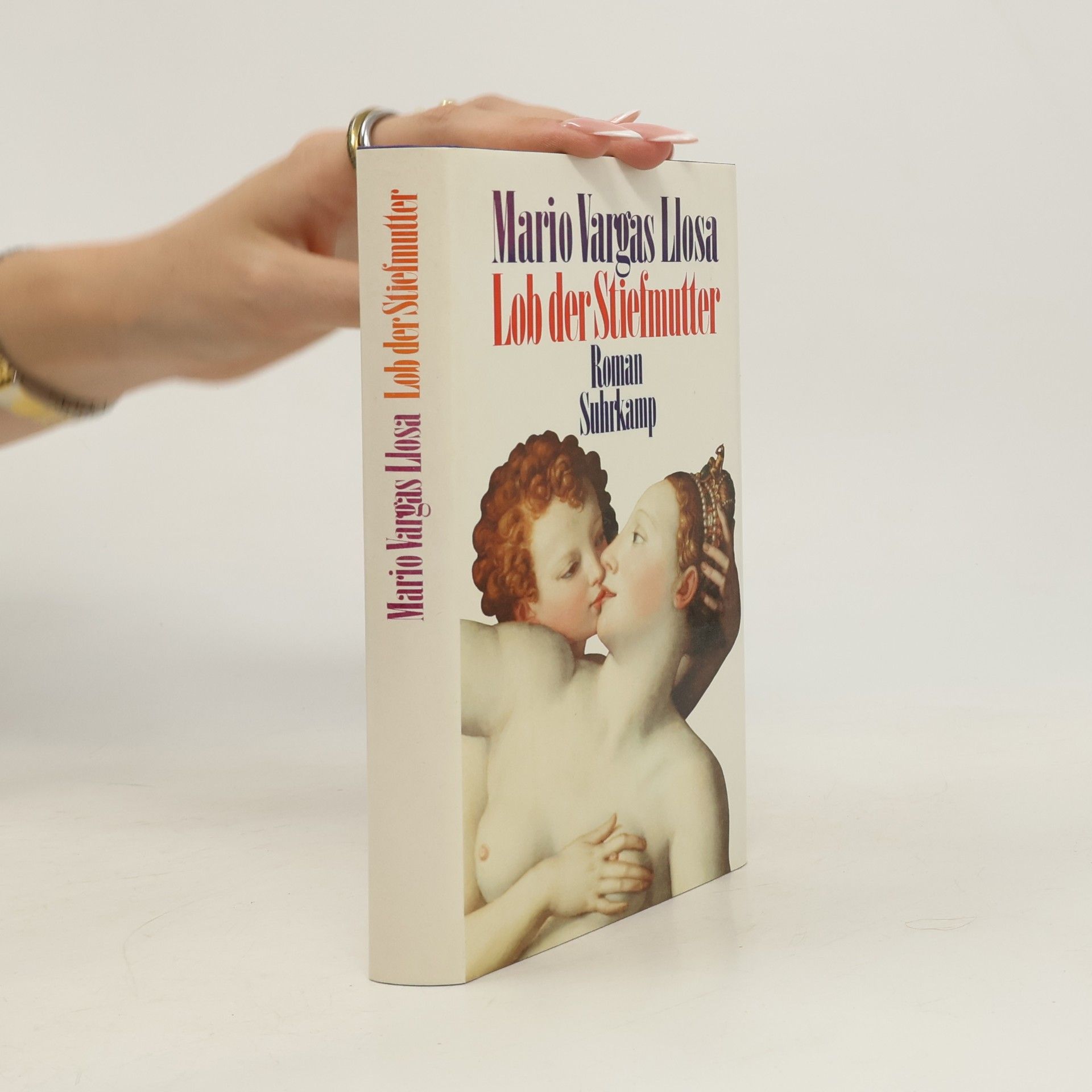 Mario Vargas Llosa Lob der Stiefmutter