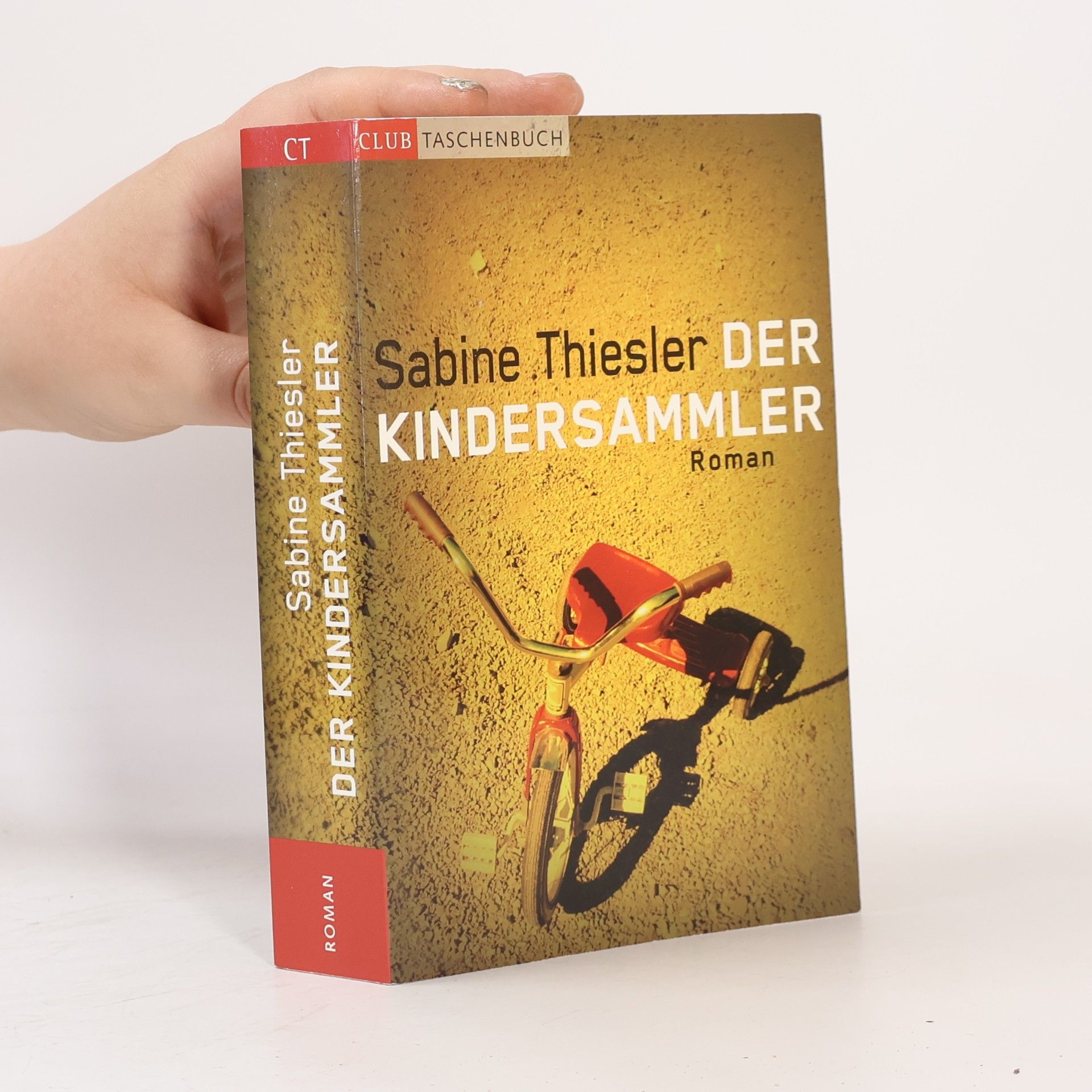 Sabine Thiesler Der Kindersammler