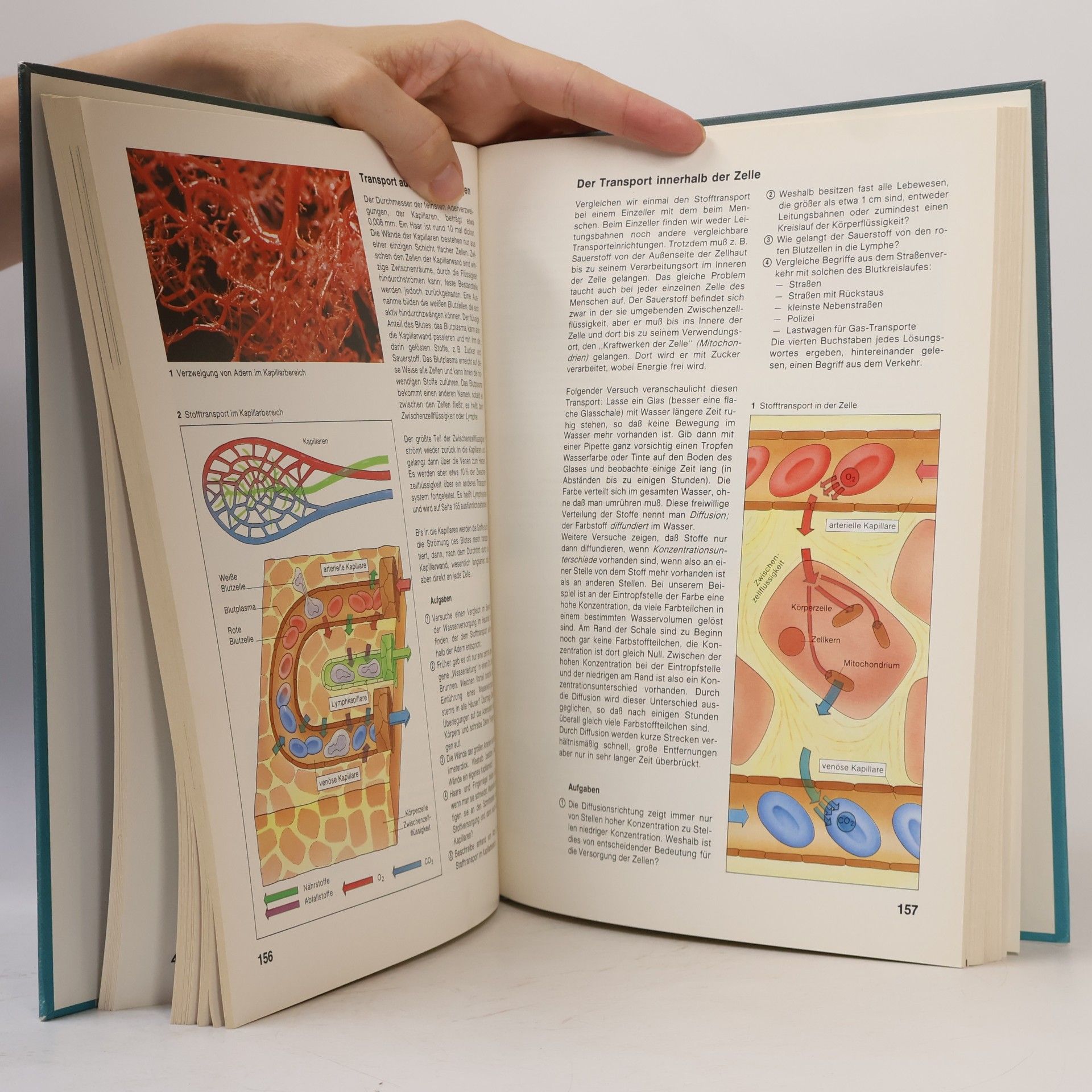 Autorenkollektiv Umwelt: Biologie 7-10