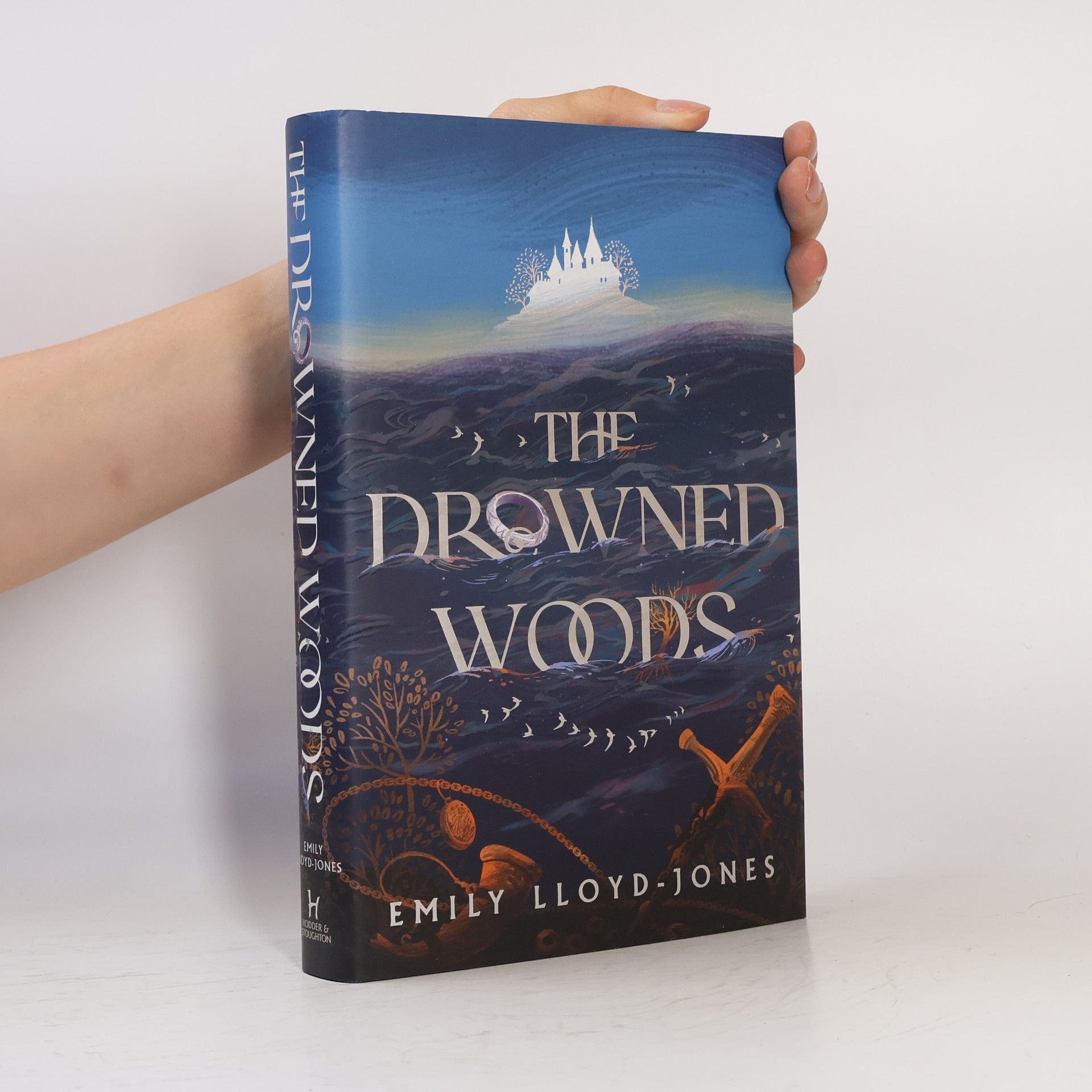 Emily Lloyd-Jones The Drowned Woods