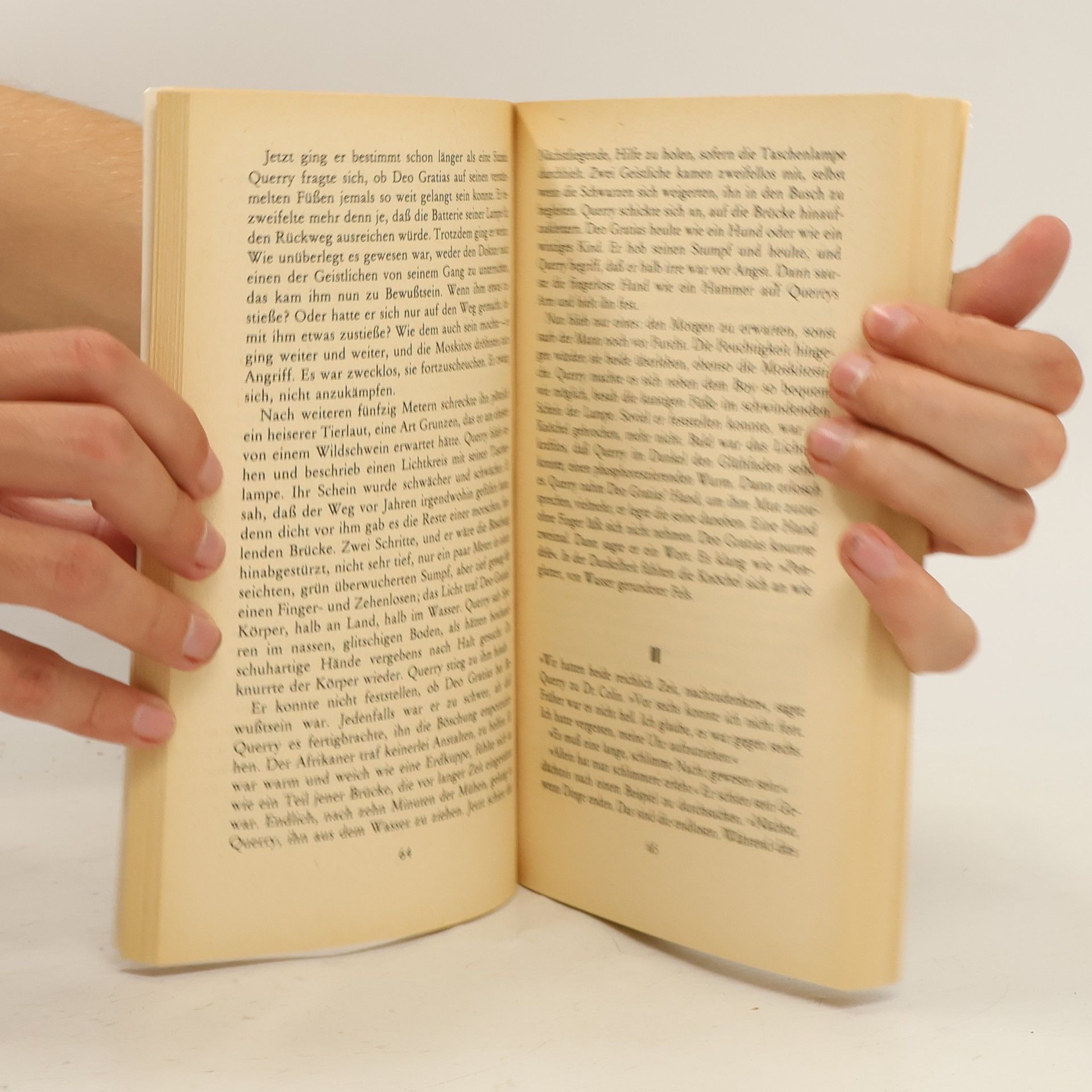 Graham Greene Ein ausgebrannter Fall