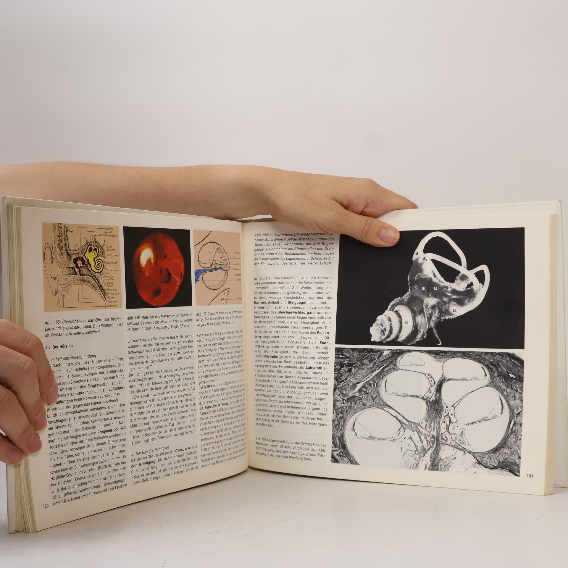 Hermann Linder Biologie des Menschen
