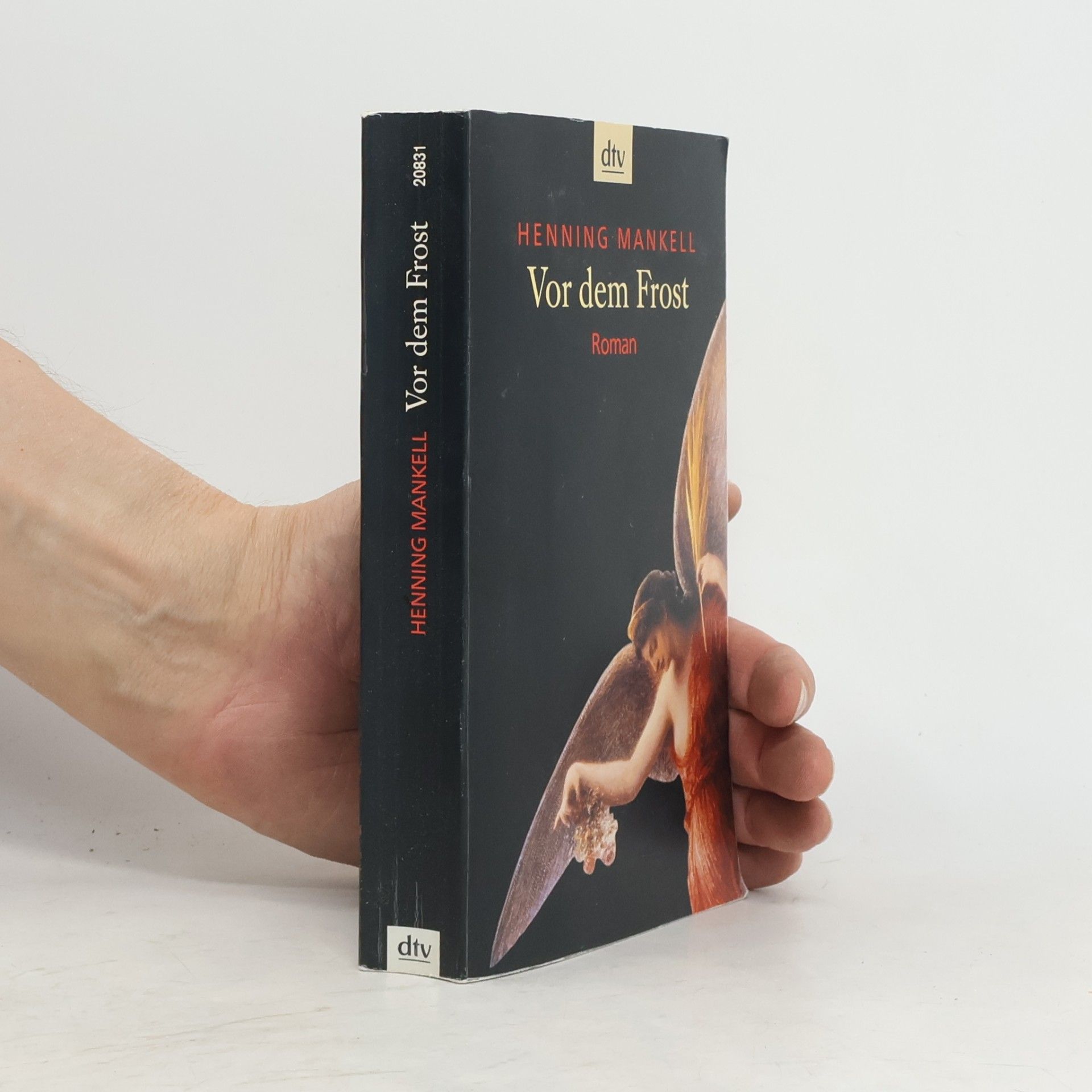 Henning Mankell Vor dem Frost