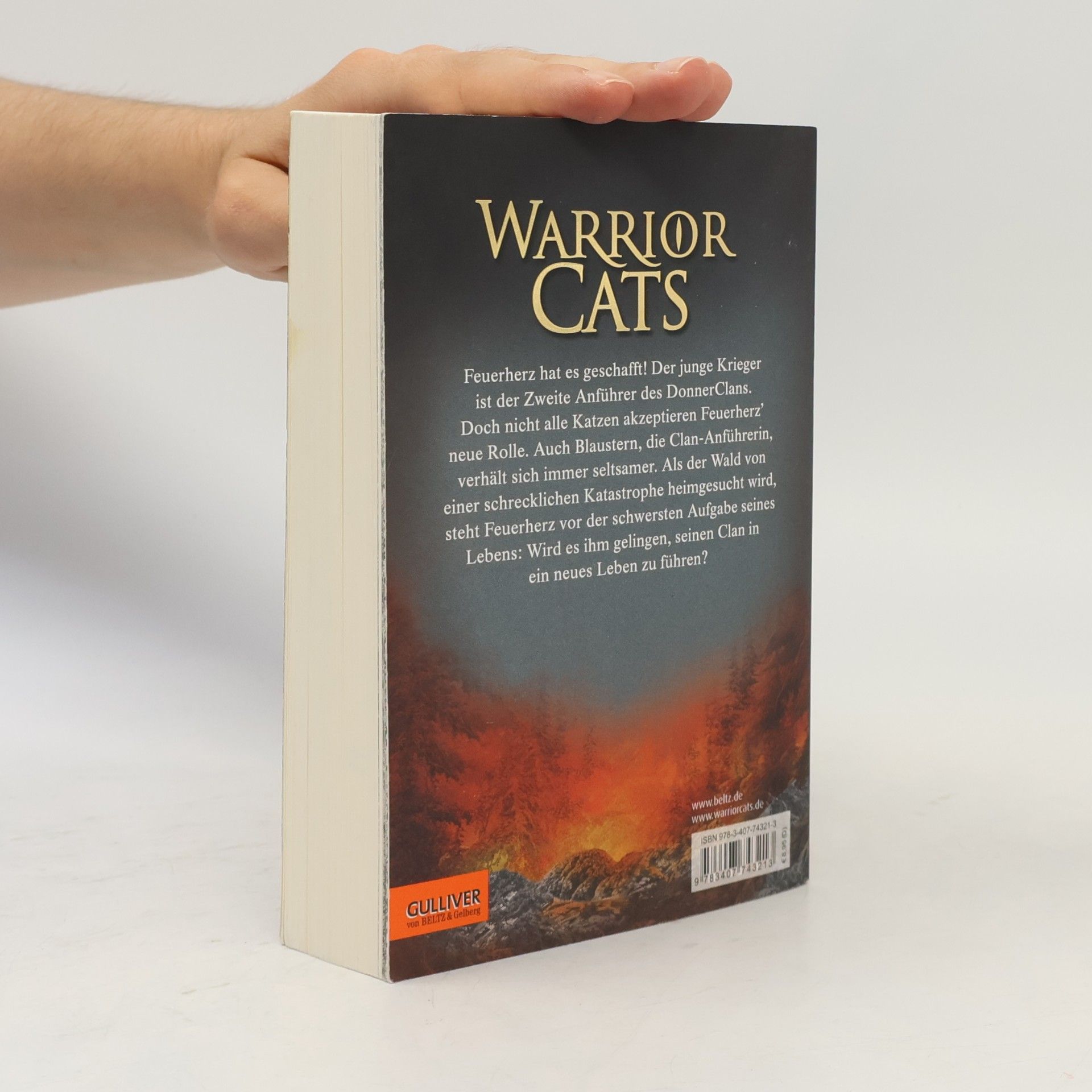 Erin Hunter Warrior Cats. Vor dem Sturm