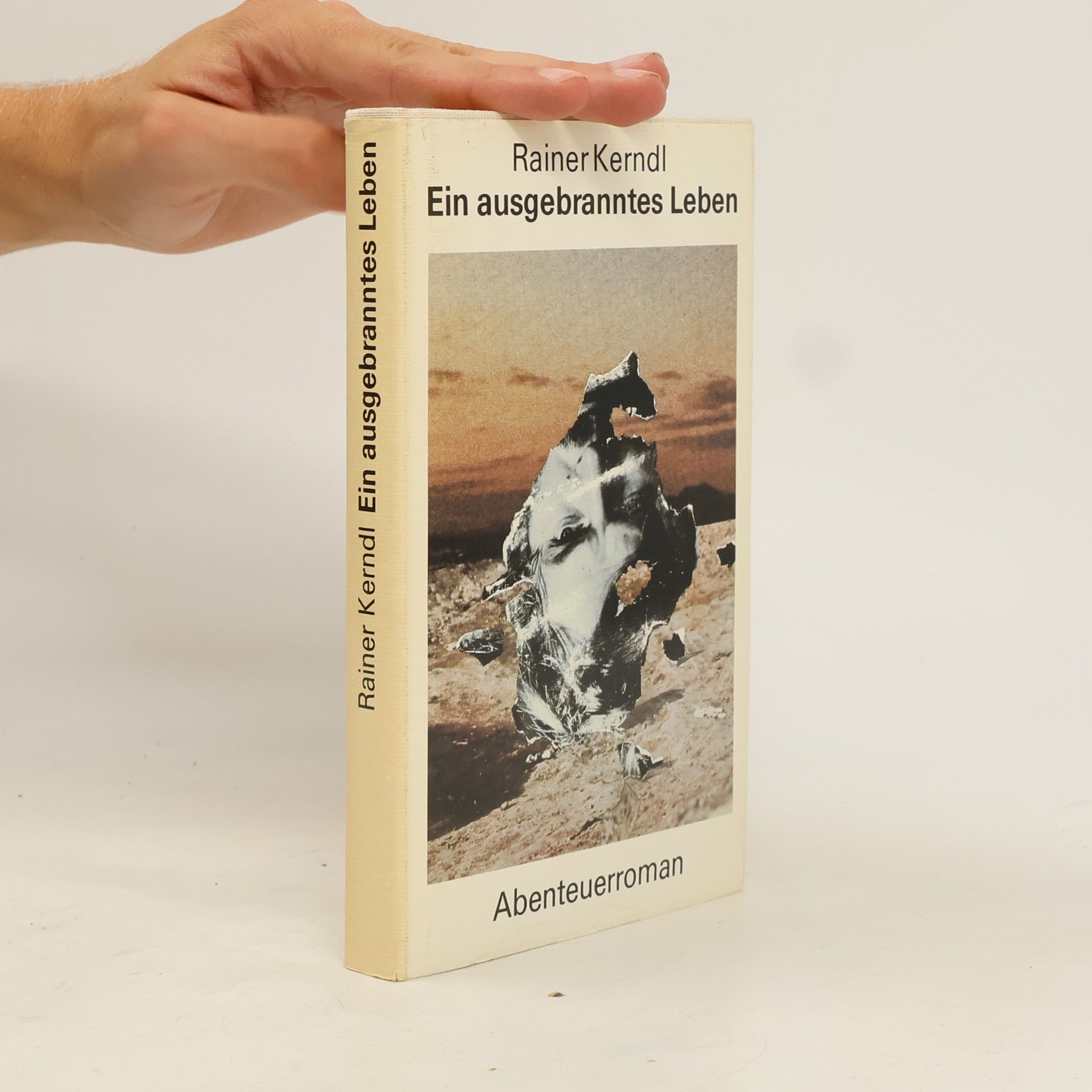 Rainer Kerndl Ein ausgebranntes Leben