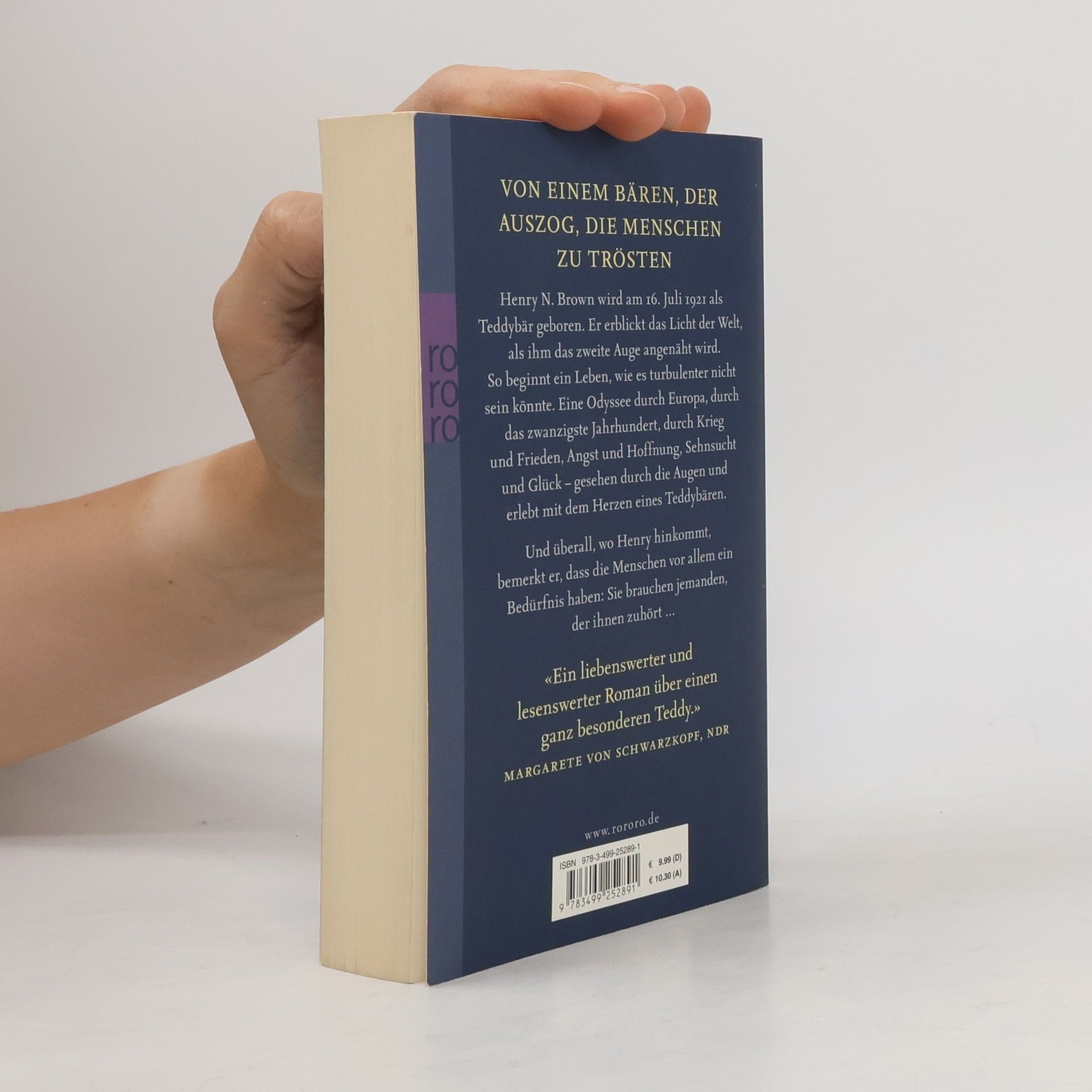 Anne Bubenzer Die unglaubliche Geschichte des Henry N. Brown