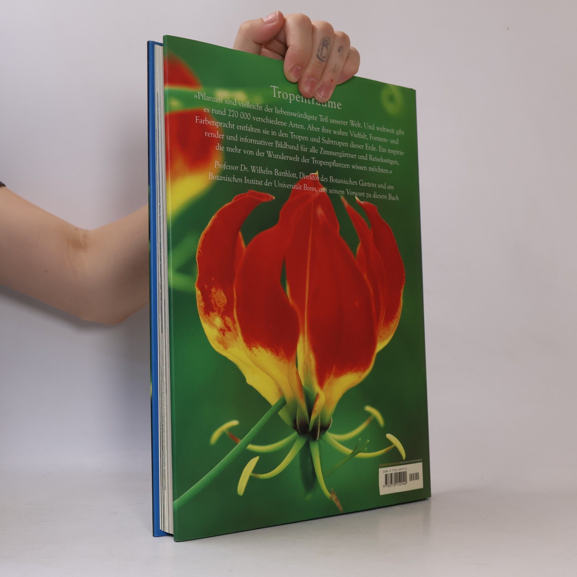 Nadja Biedinger Die Welt der Tropenpflanzen
