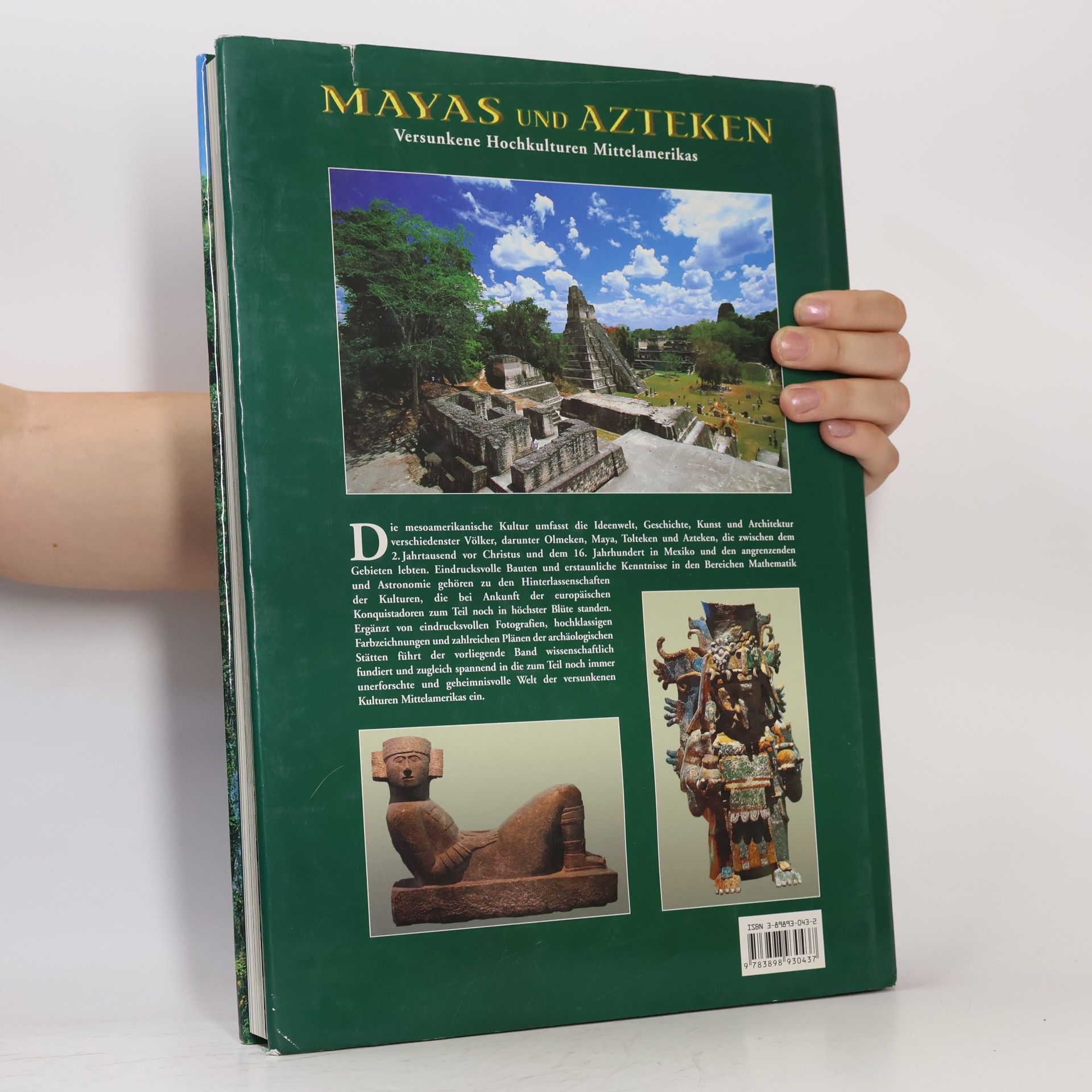 Maria Longhena Mayas und Azteken