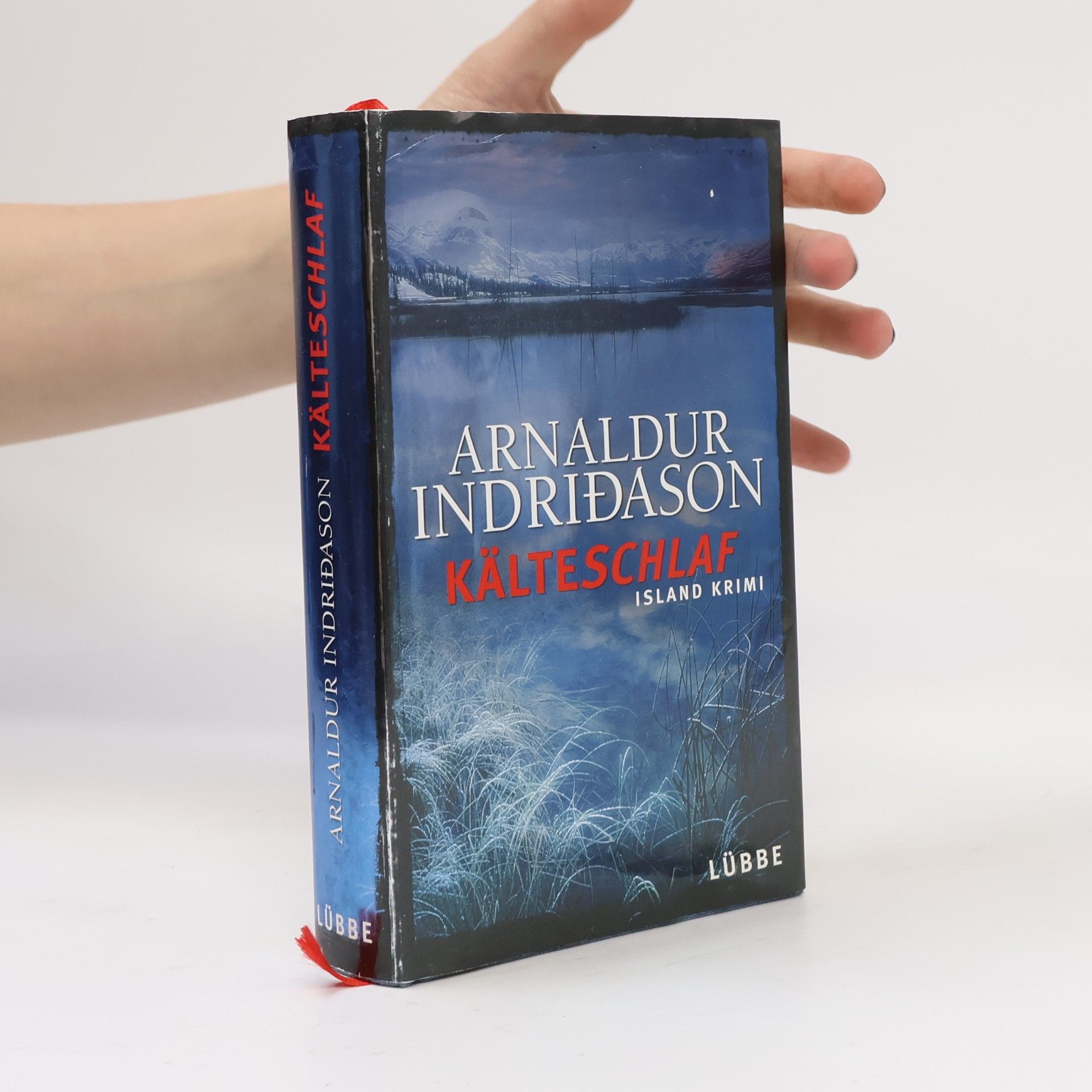 Arnaldur Indriðason Kälteschlaf