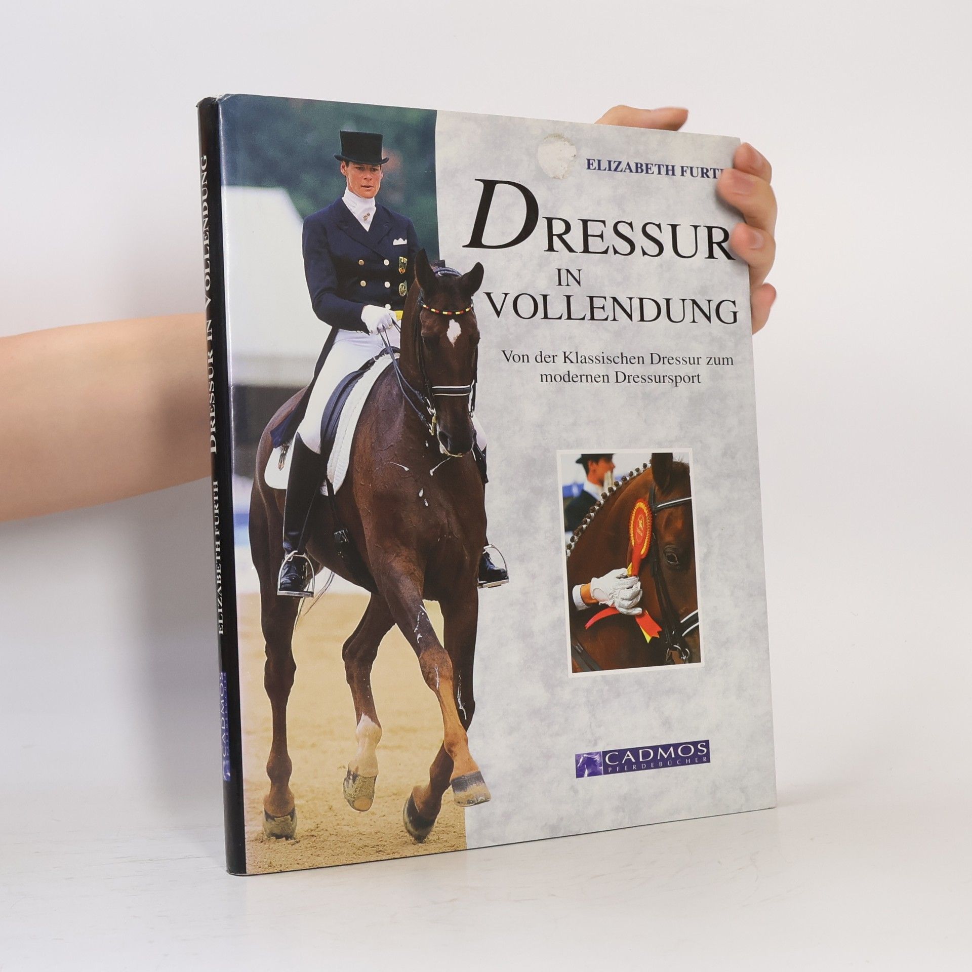 Dressur in Vollendung